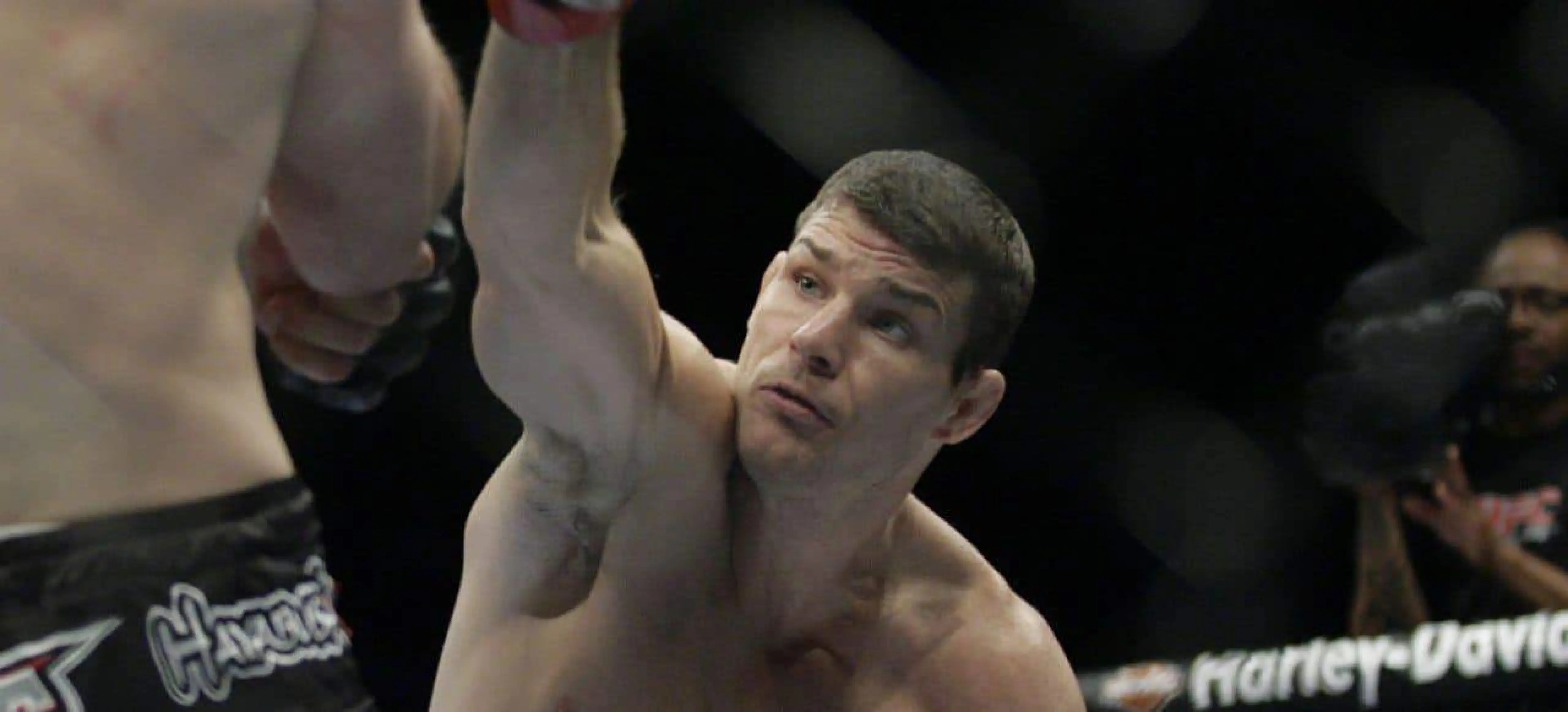 Bisping odds