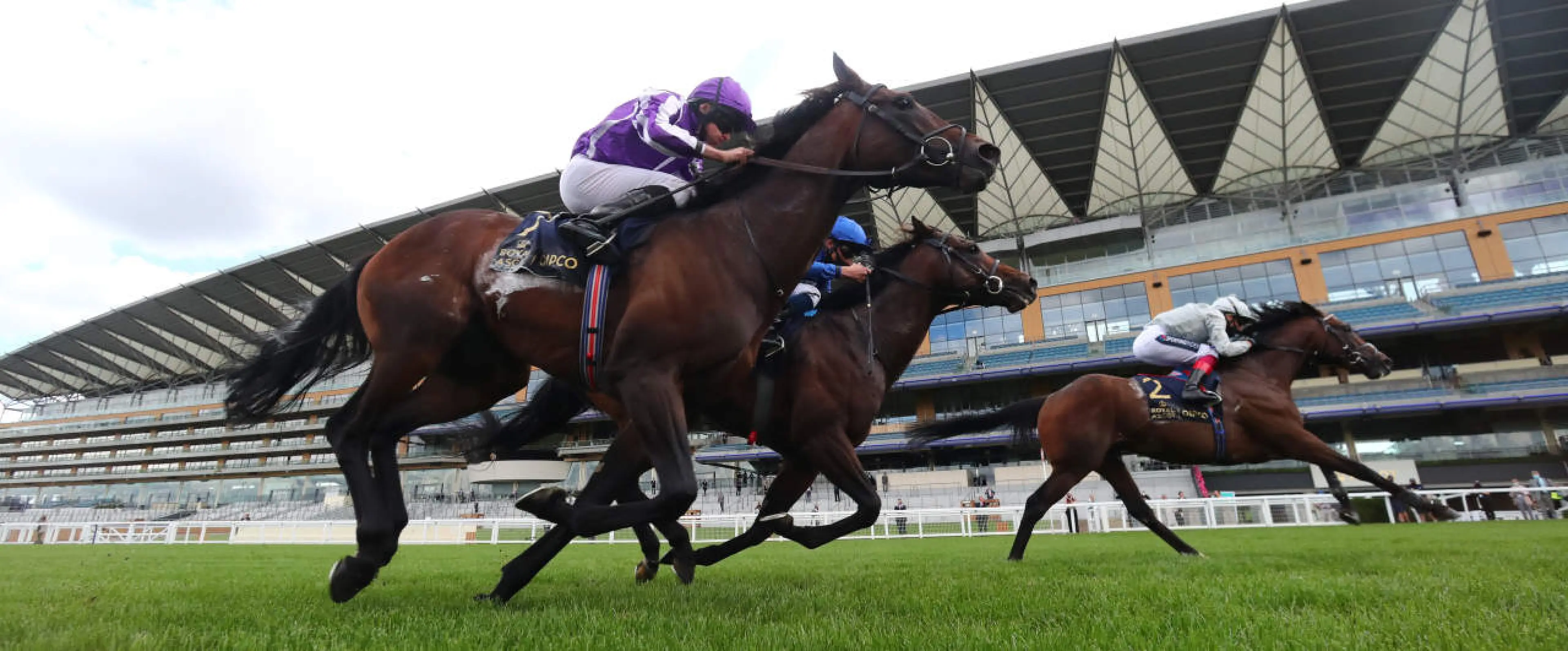 Palace Pier on the way to victory at Royal Ascot
