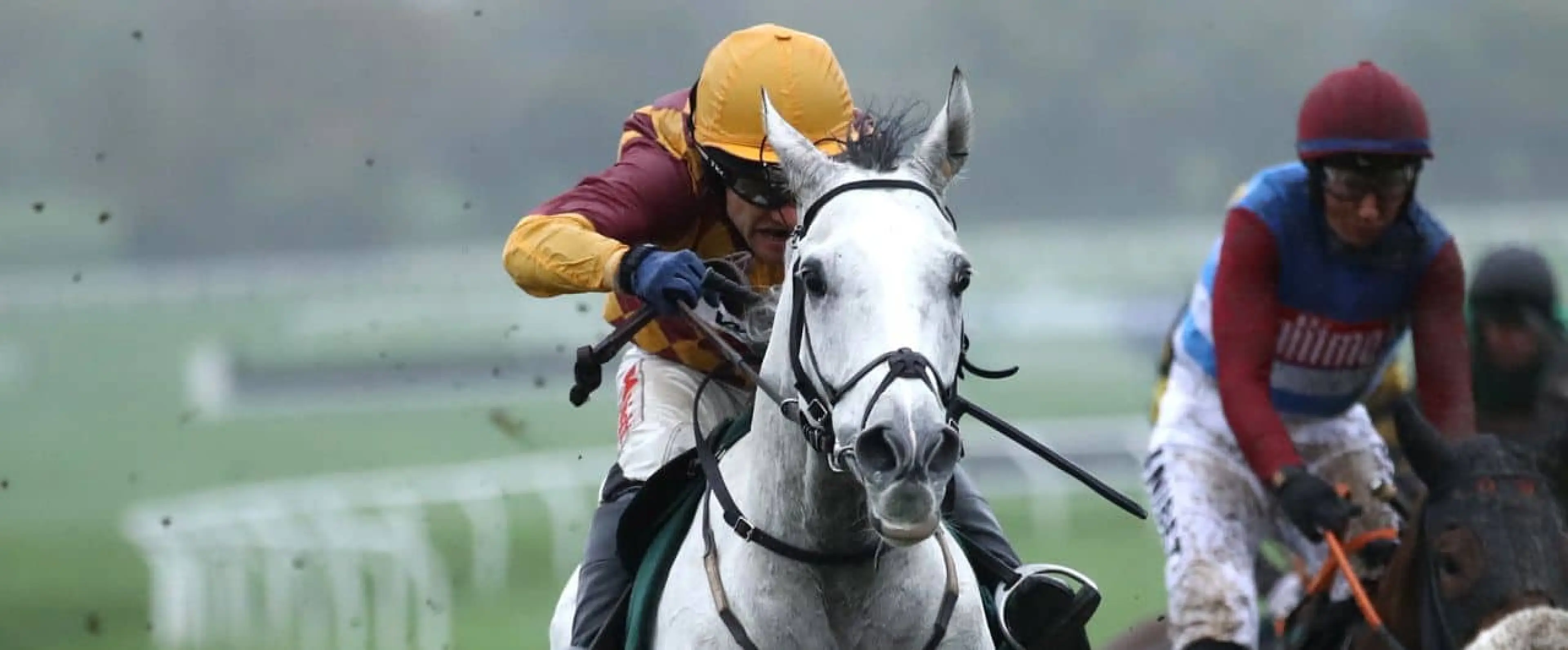 Tom Scudamore riding Ramses De Teillee