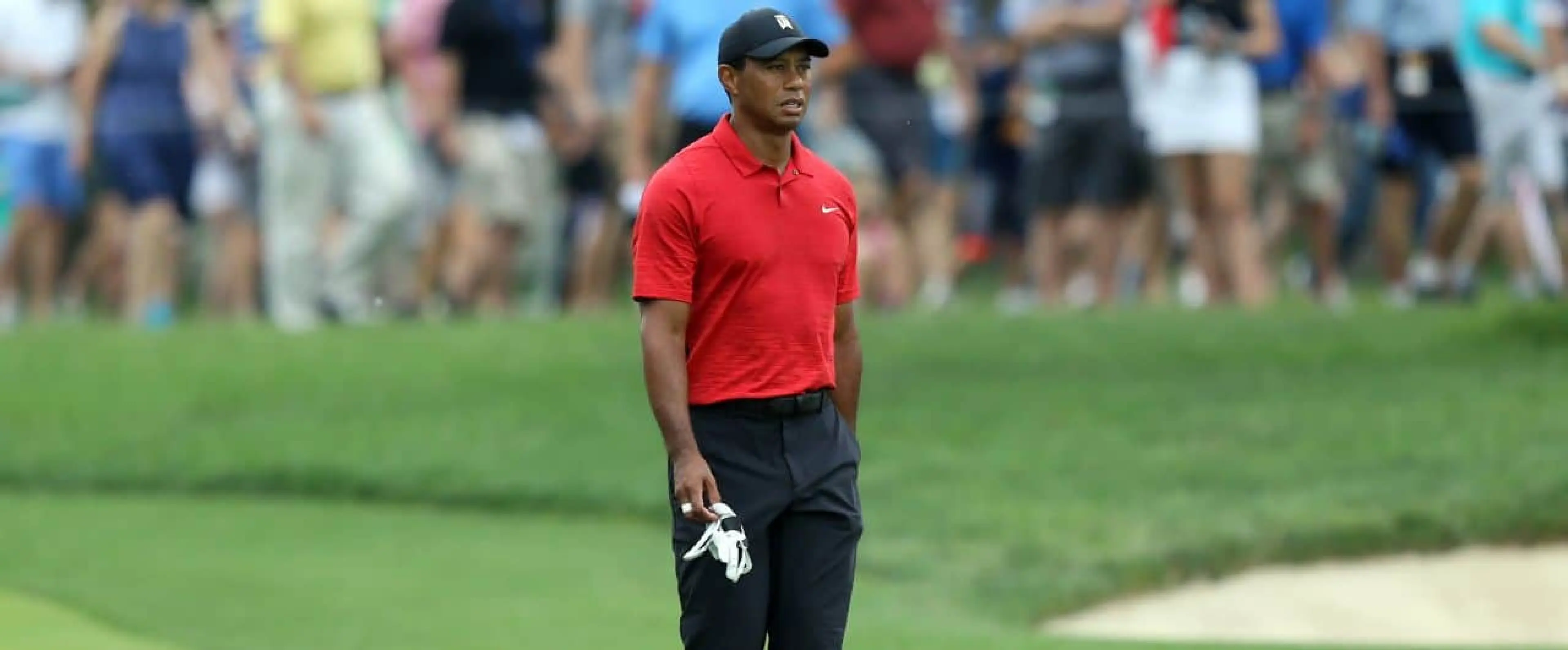 Tiger Woods Golf