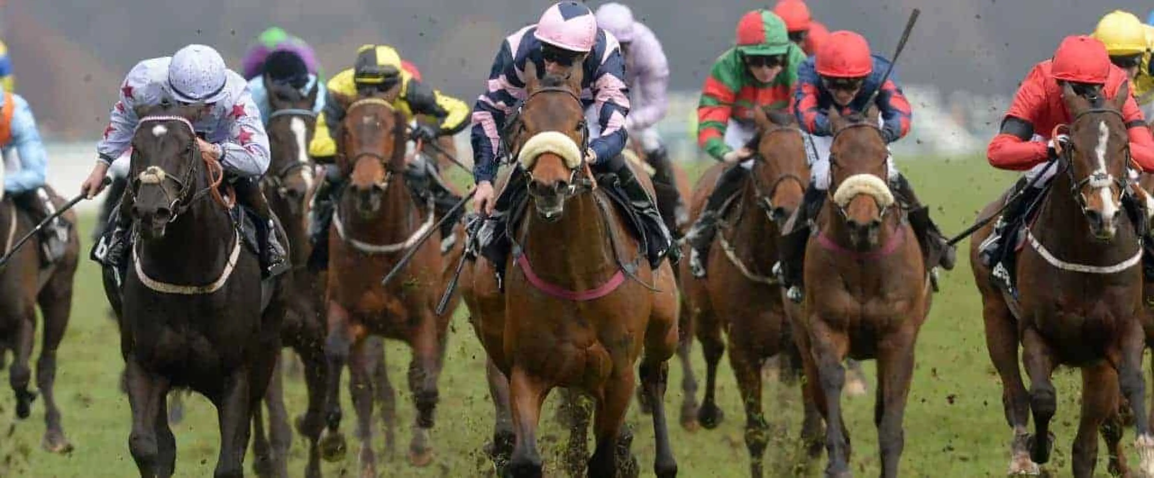 Lincoln Handicap