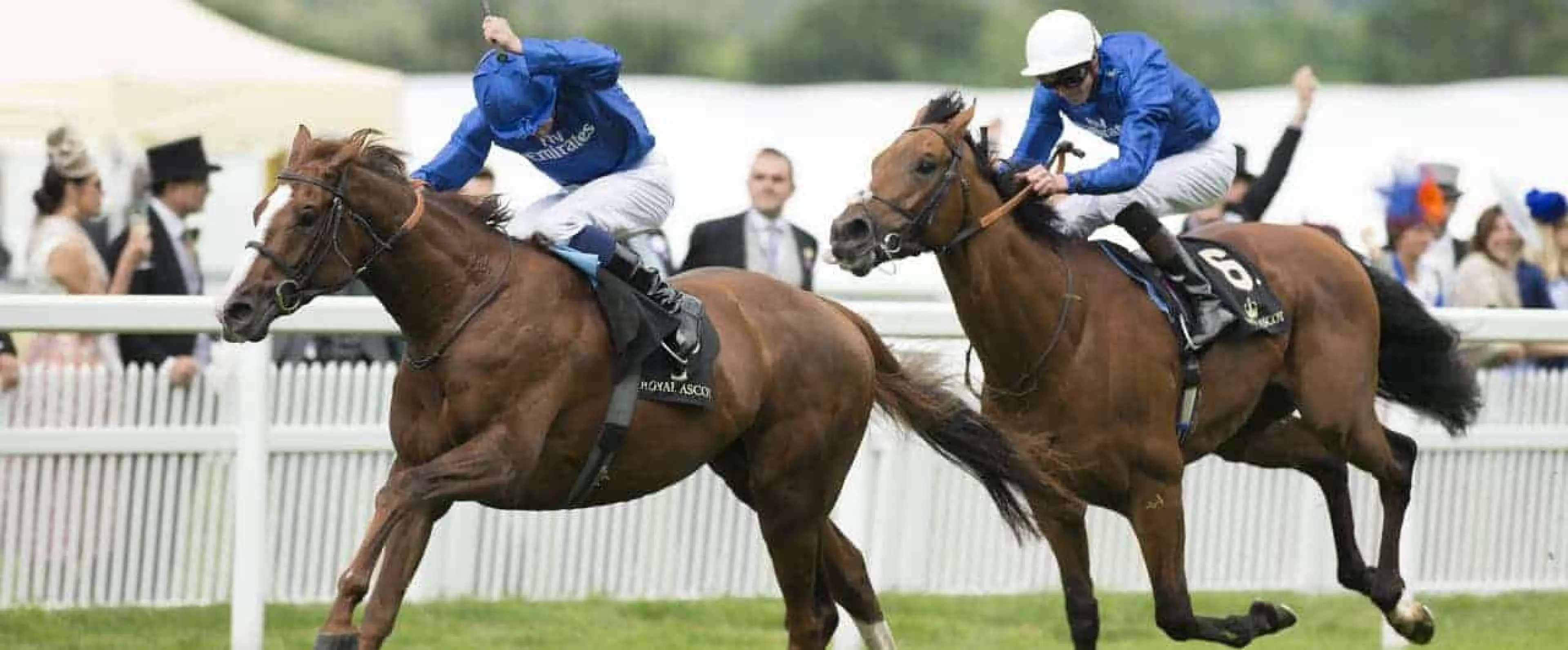 November Handicap tips