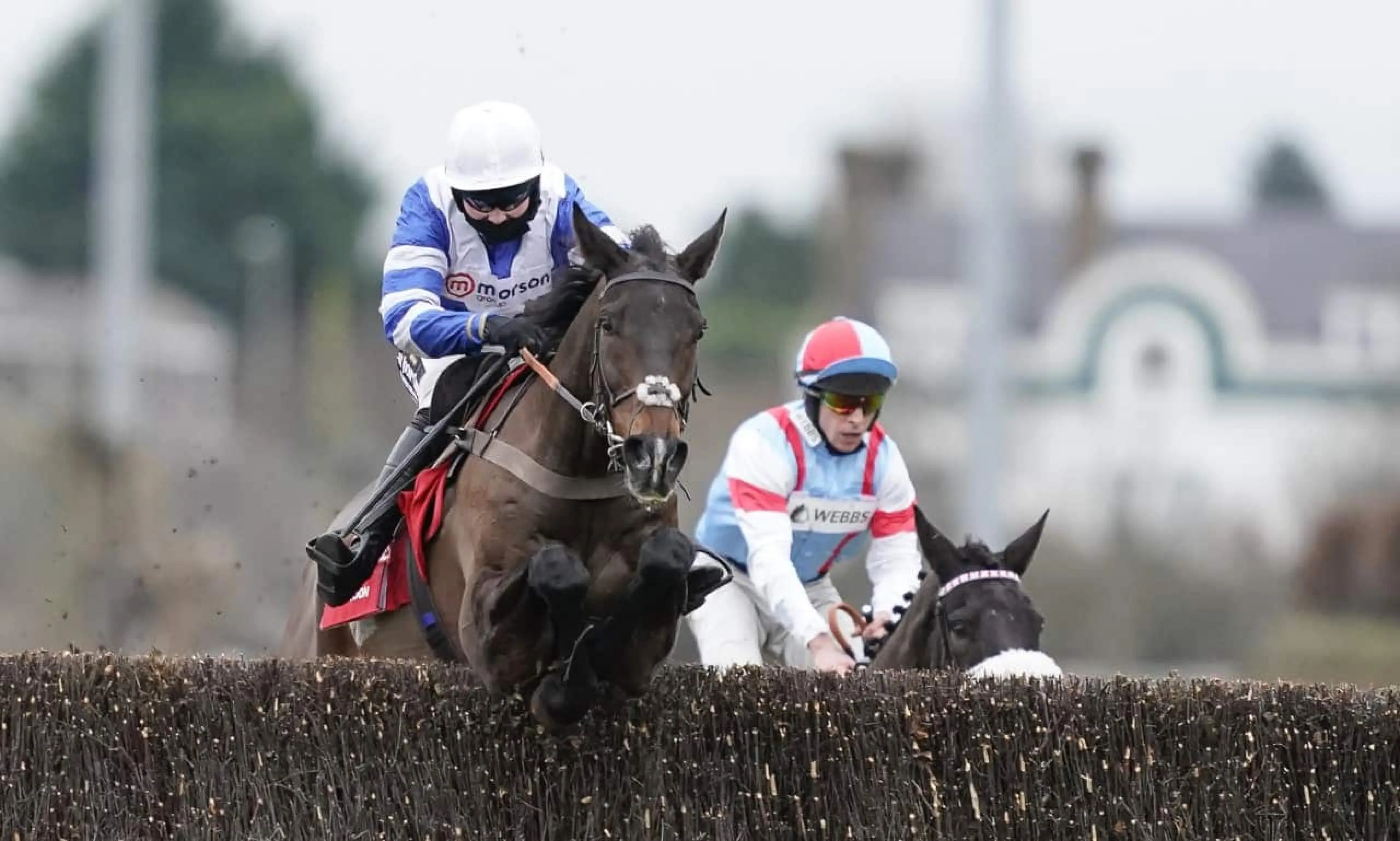 Bryony Frost, ITV racing tips, horse racing, Frodon