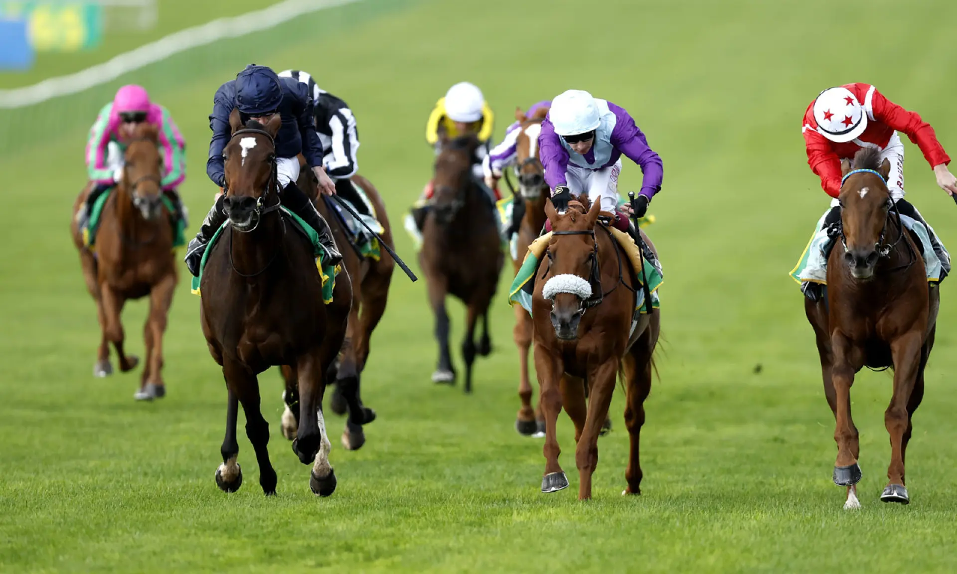 Ylang Ylang, 1000 Guineas betting odds, horse racing