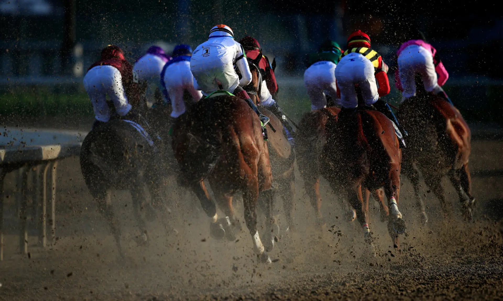 Breeders' Cup races, horse racing