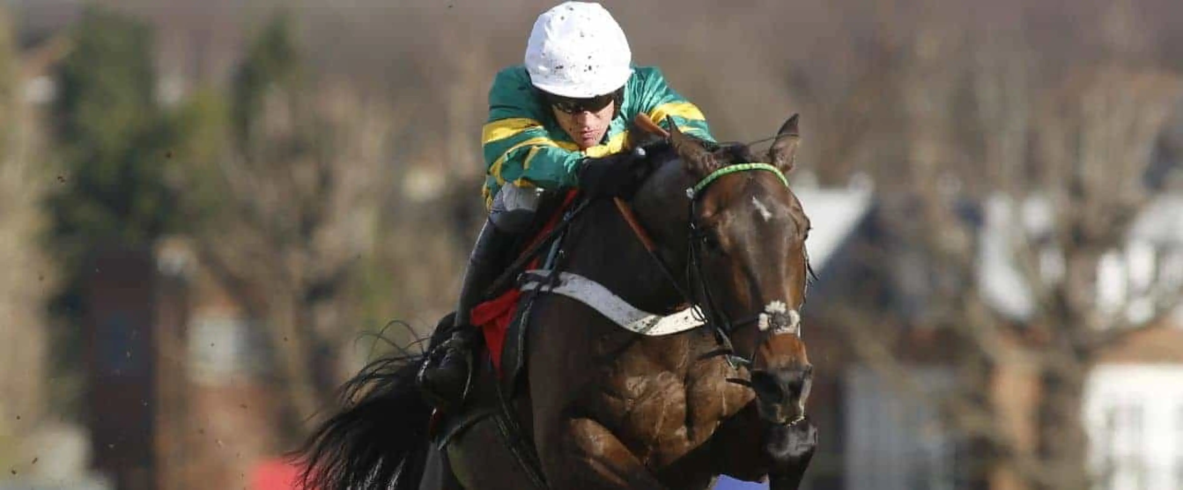 Buveur D'Air odds, Champion Chase odds, Cheltenham Festival 2018 odds