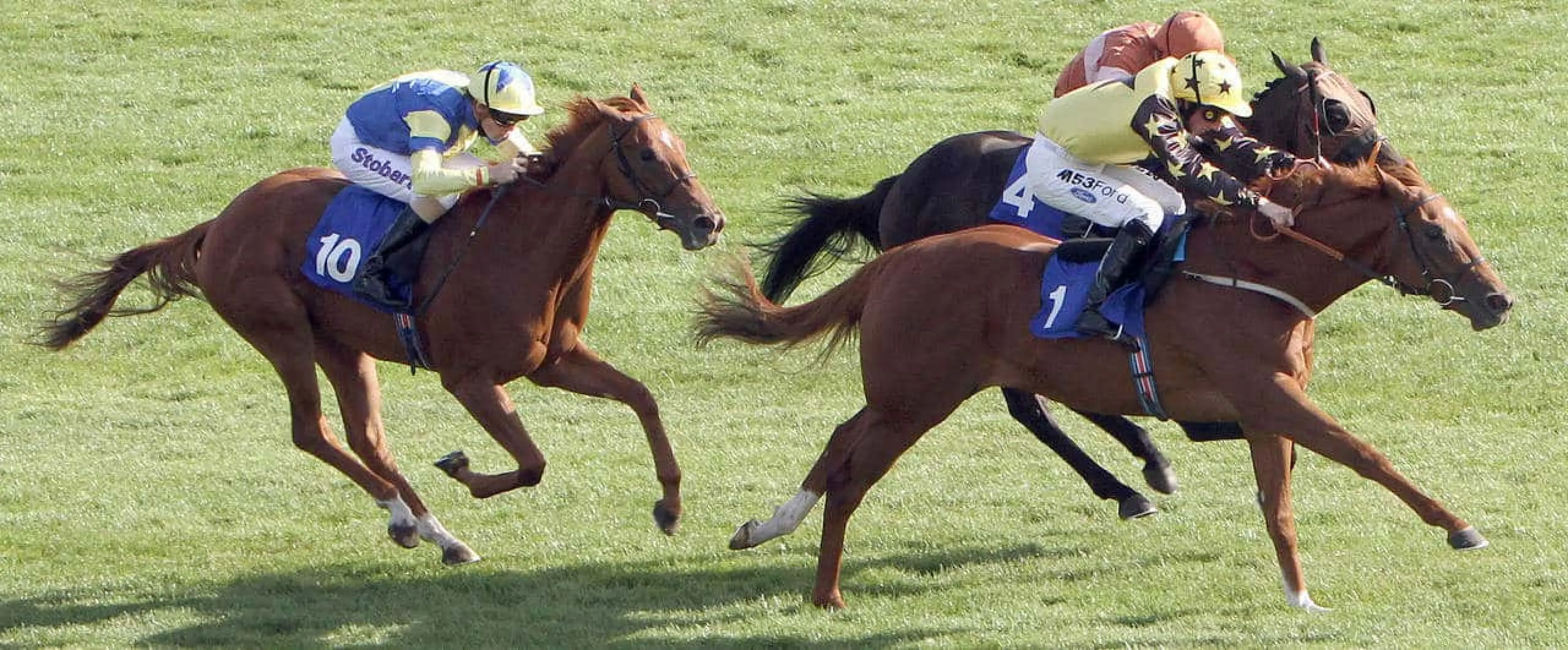 pontefract tips october 17