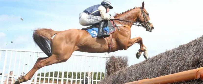 Pair Of Jack odds to win the Cavendish Cup Handicap Chase feature among Coral's Cartmel tips for August 29
