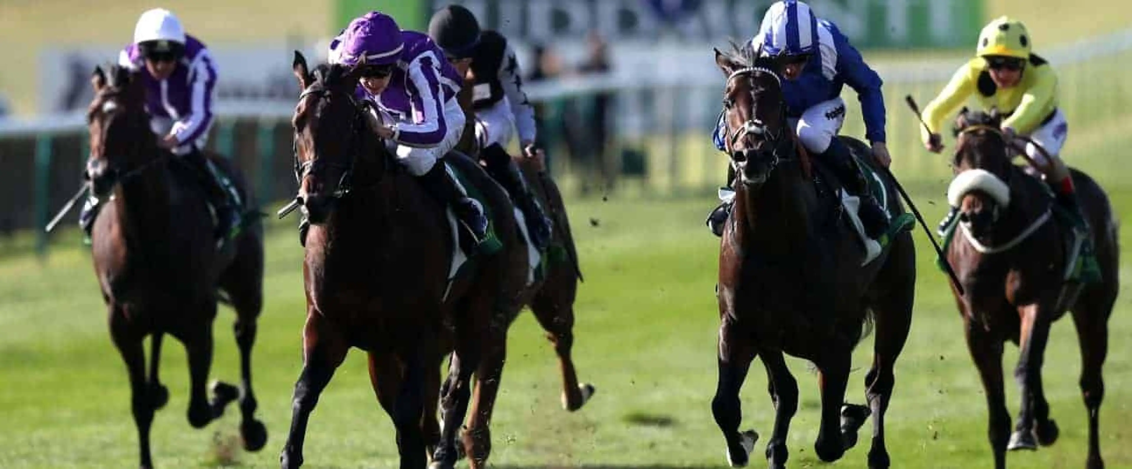 Ten Sovereigns