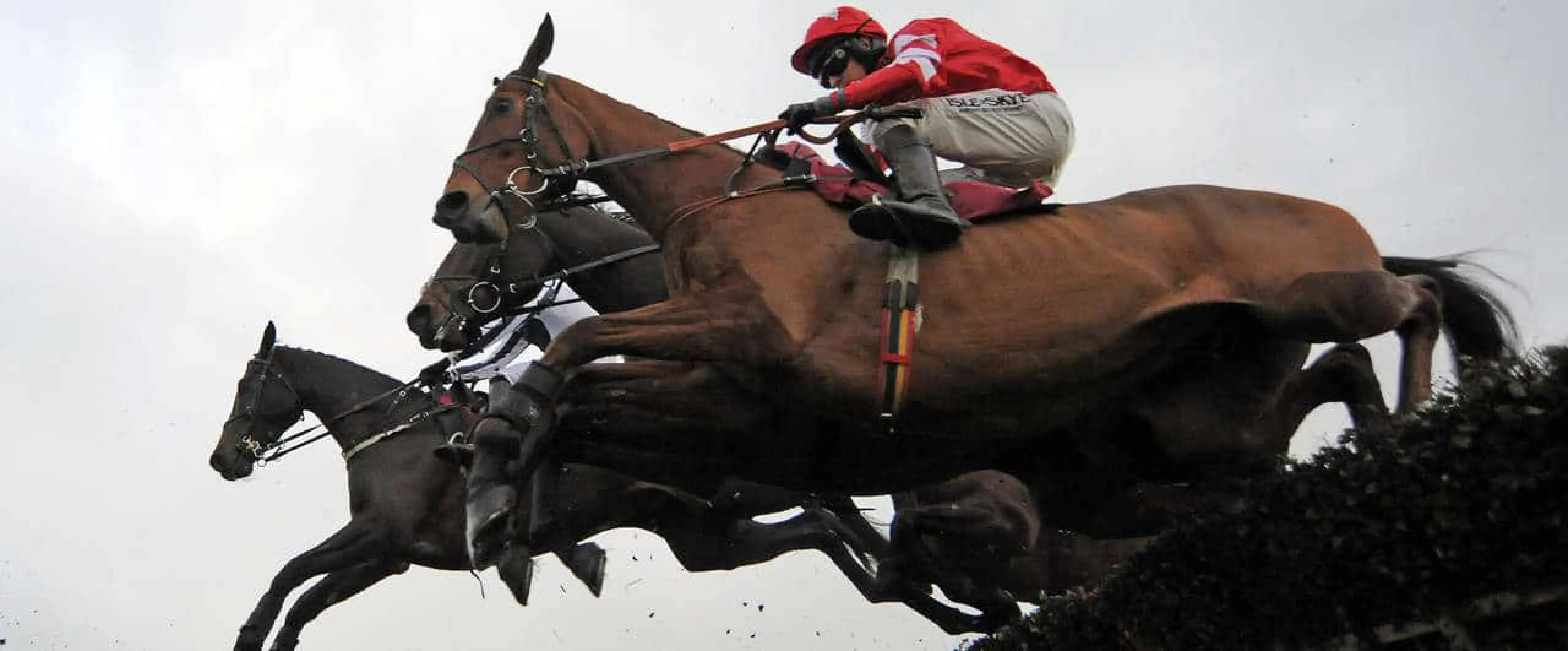 Thorpe odds in Ayr tips for November 9.