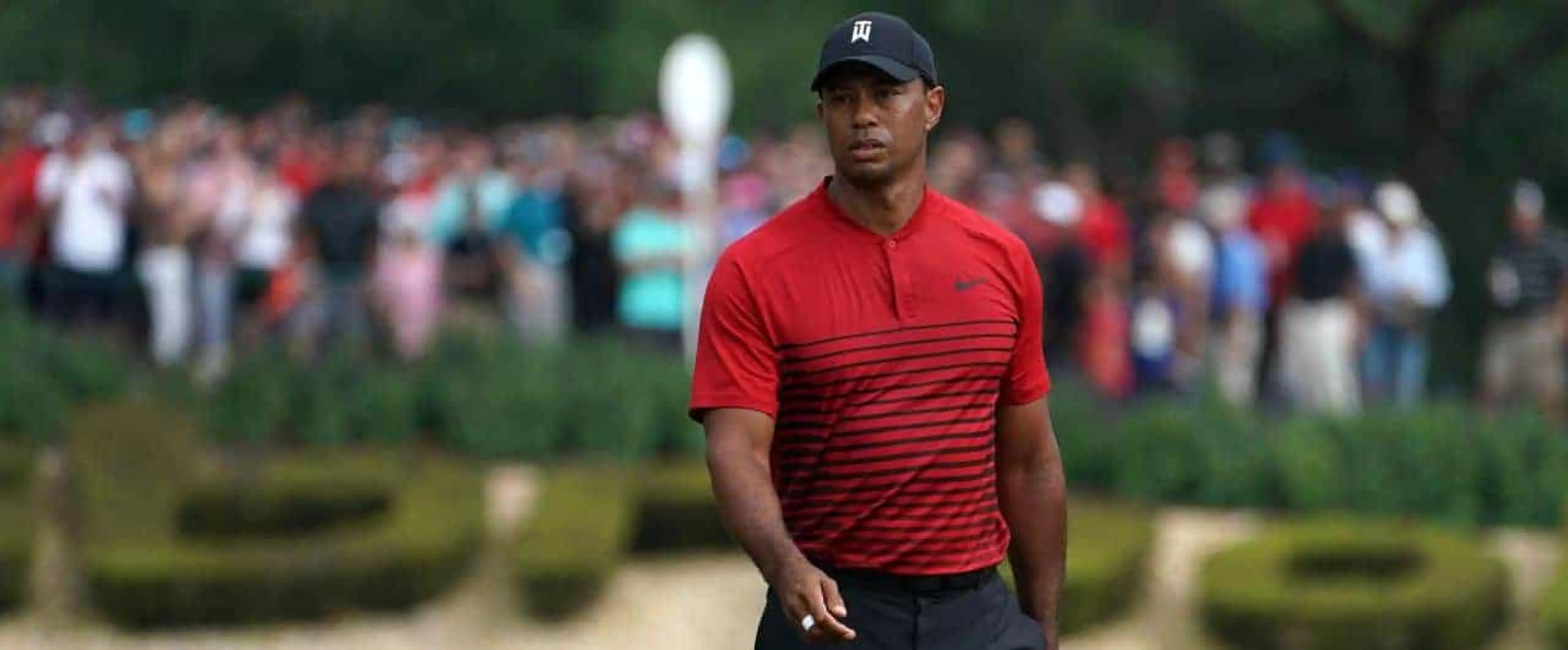 Tiger Woods odds