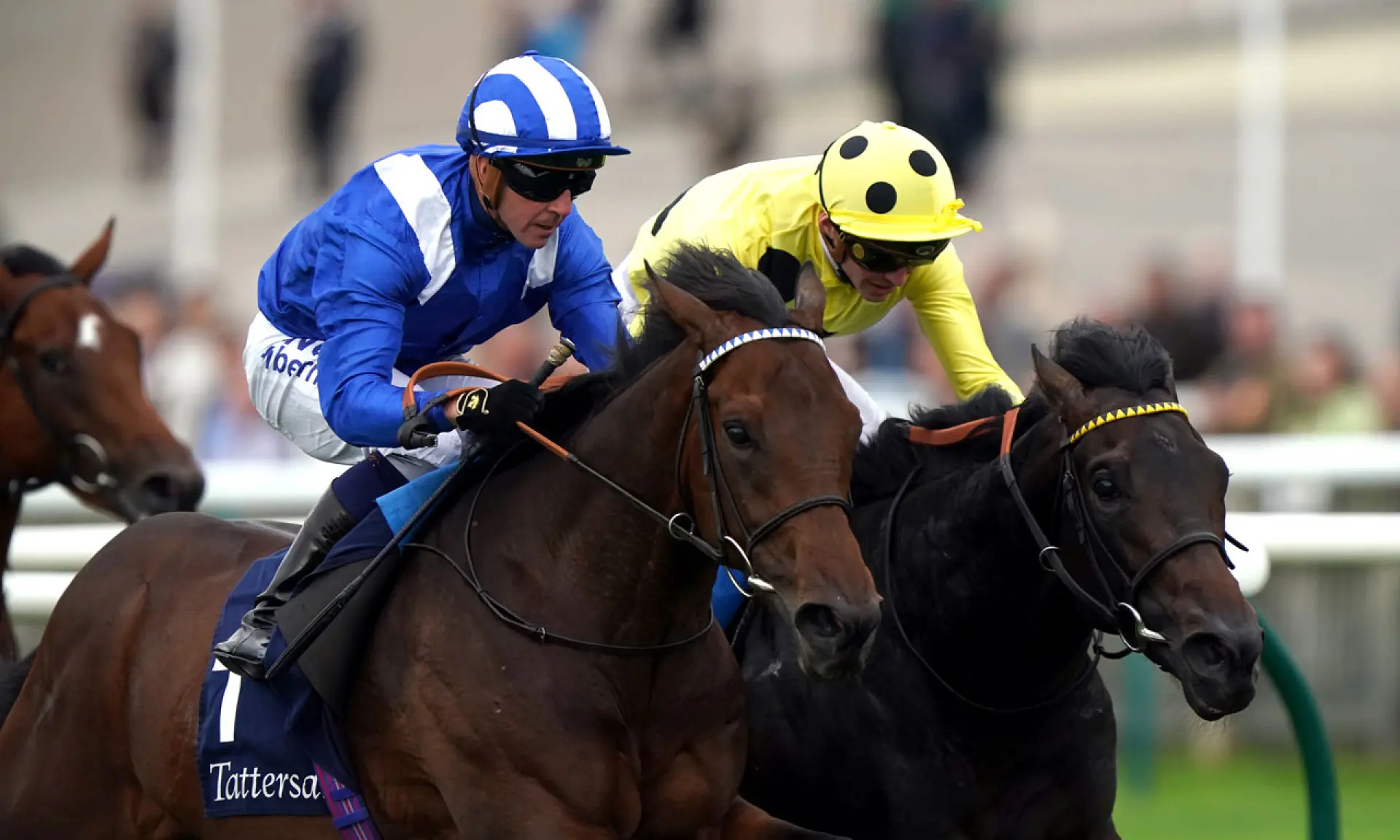 Alyanaabi, Jim Crowley, horse racing