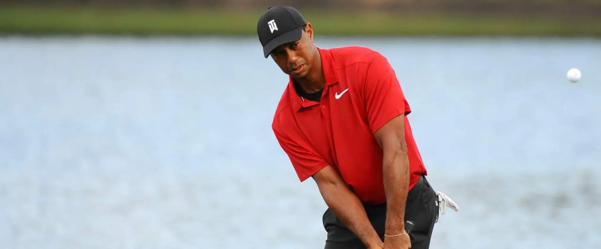 Tiger Woods - Golf