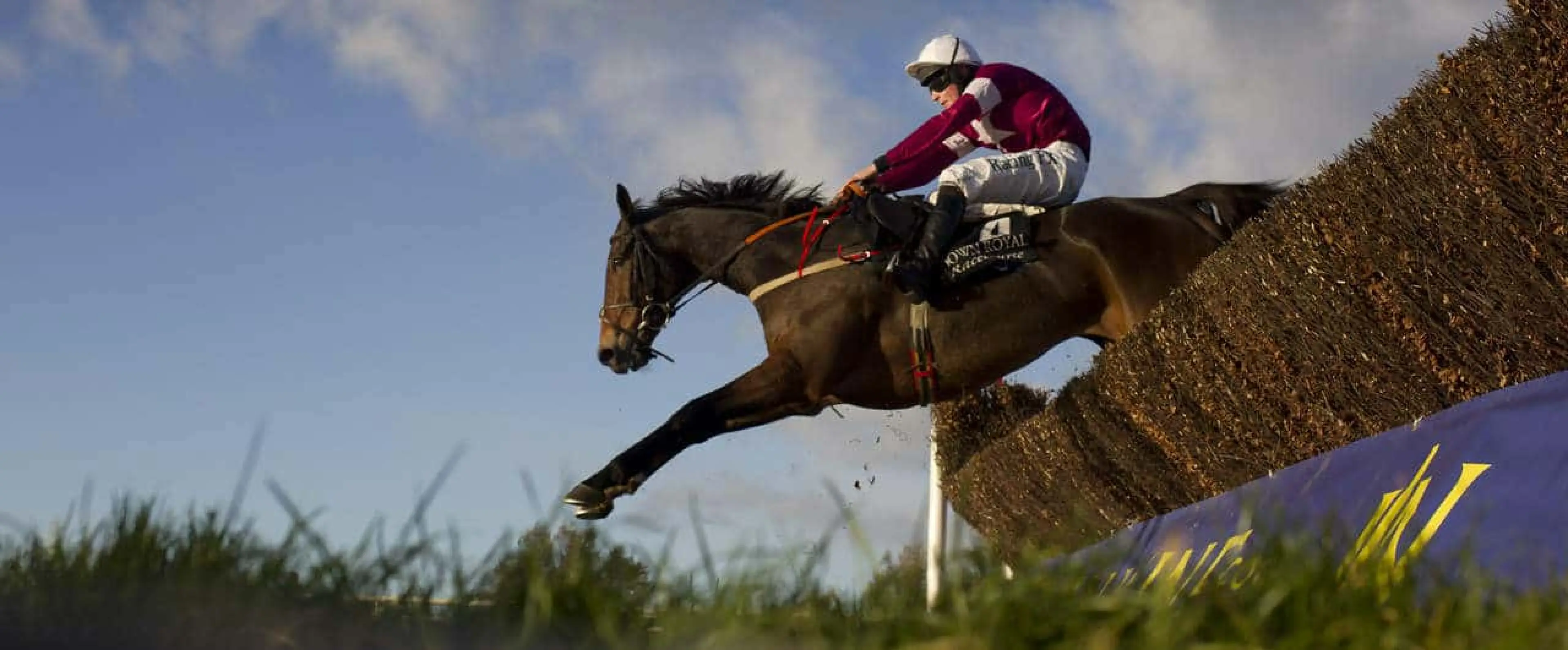 Sub Lieutenant odds appeal alongside Djakadam as Coral experts give their John Durkan Memorial Chase tips from Punchestown.