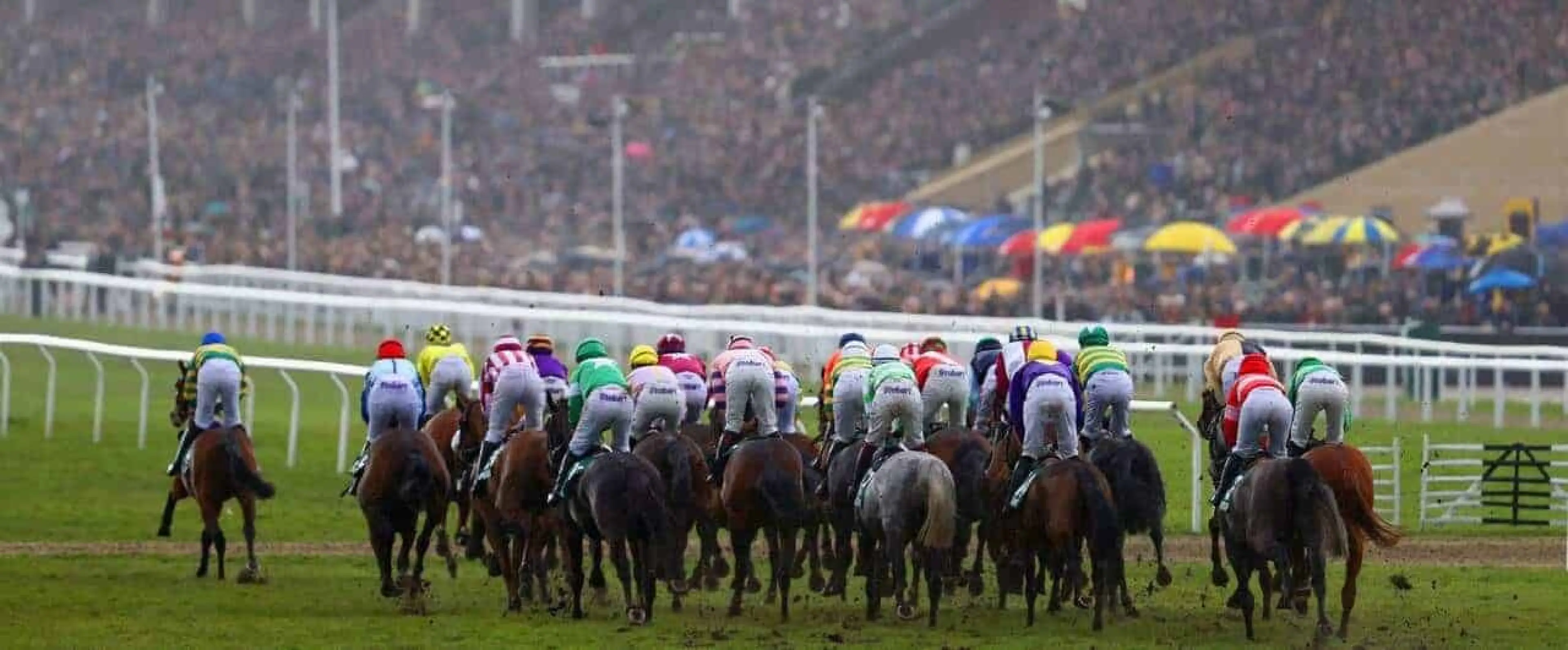 Cheltenham Festival 2019 Tips