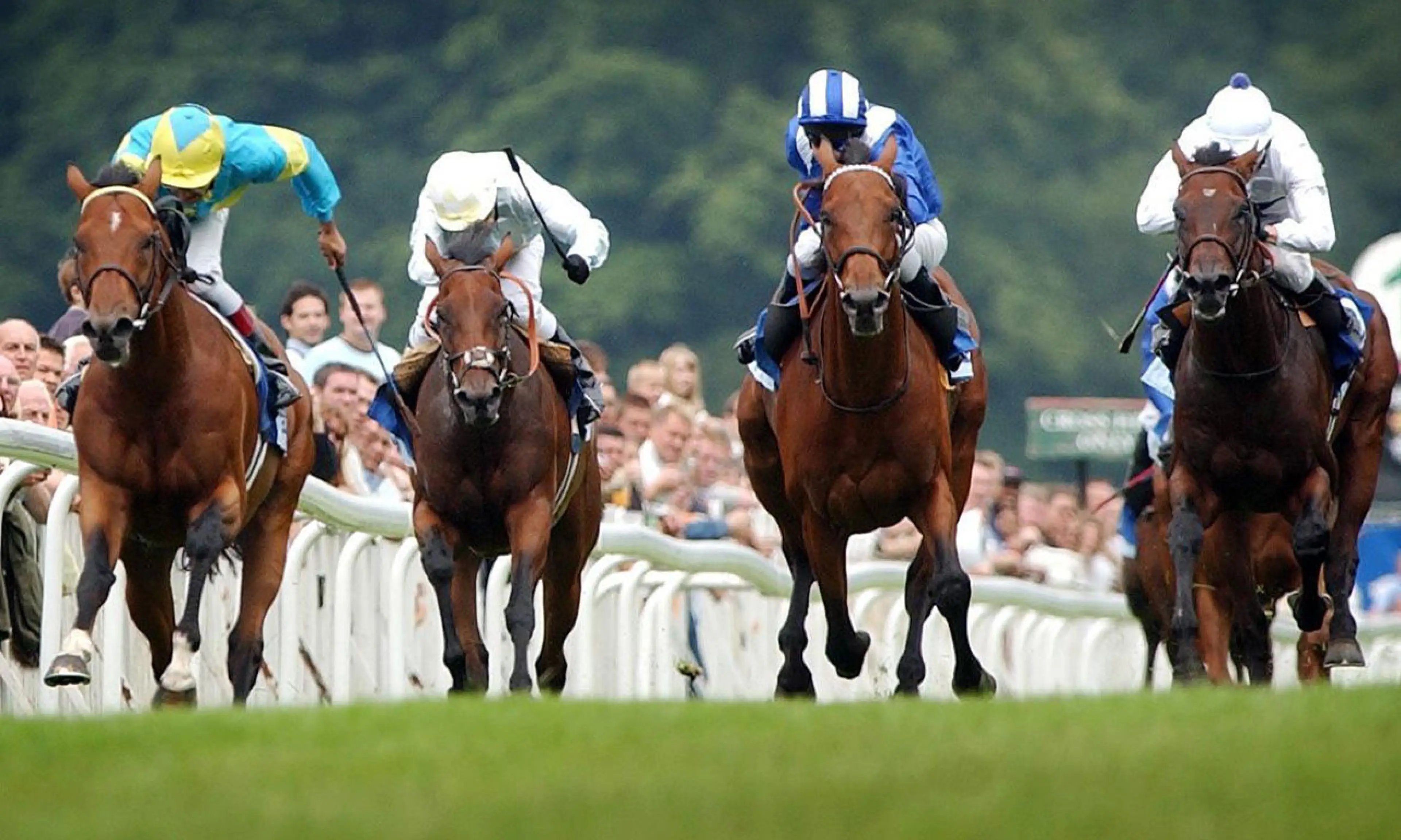 Falbrav, Coral-Eclipse memories, horse racing