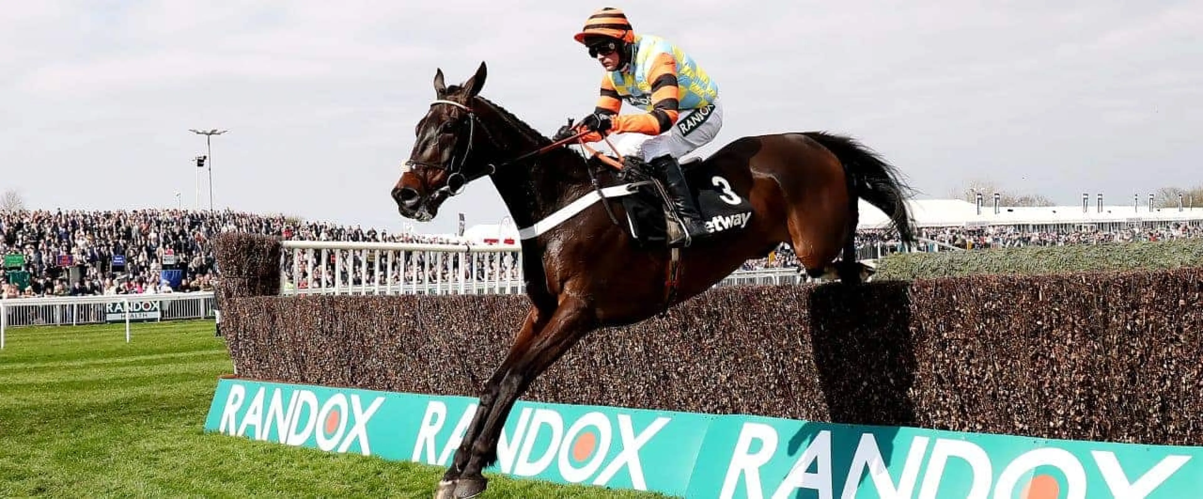 King George Chase betting