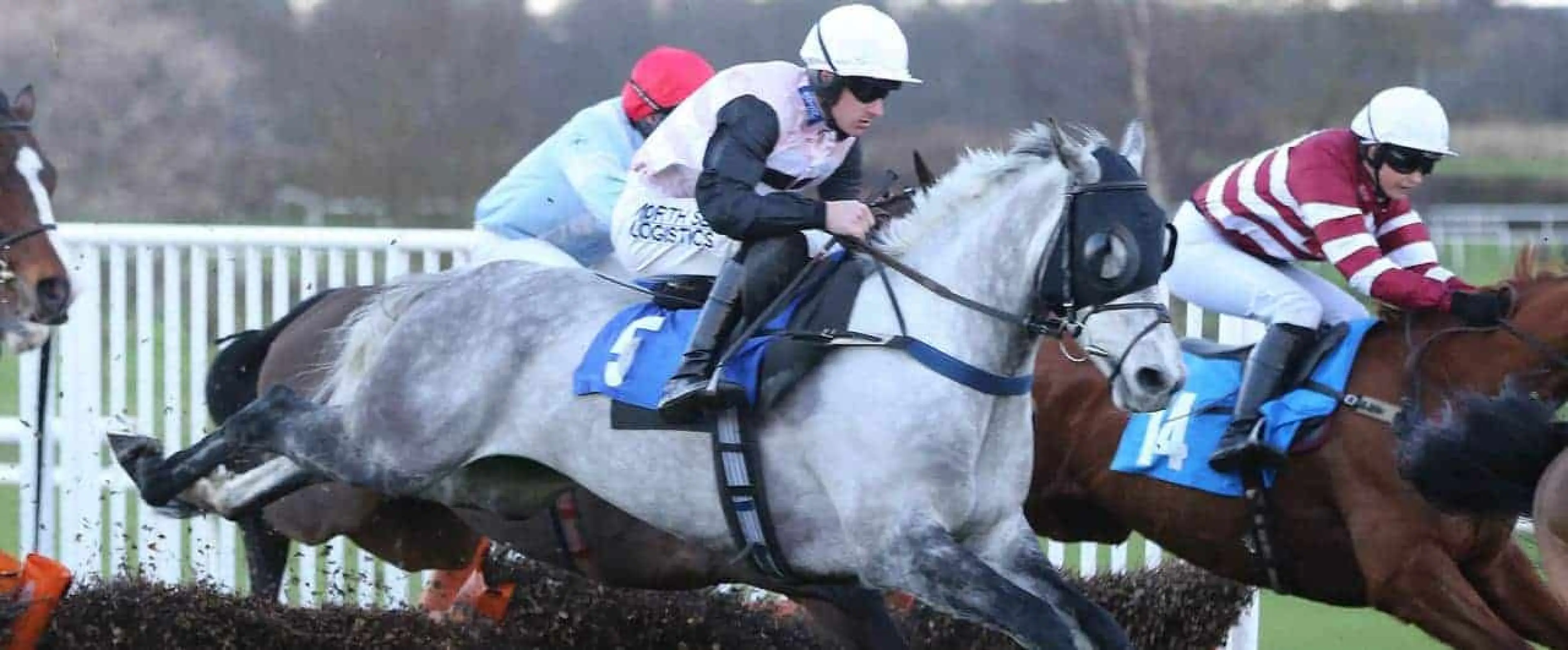 Teo Vivo odds and Monbeg Gold bets are among Corla's Musselburgh and Newbury tips for December 14.