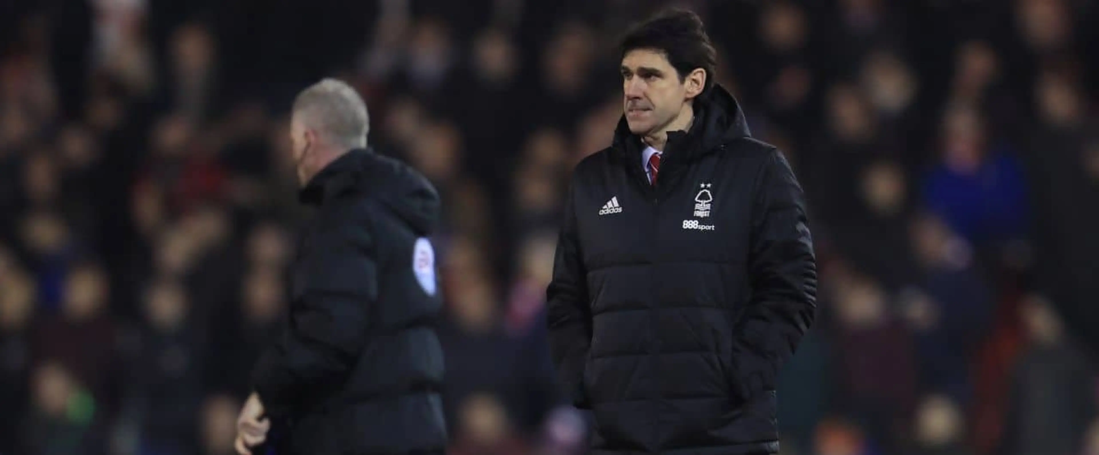 Aitor Karanka