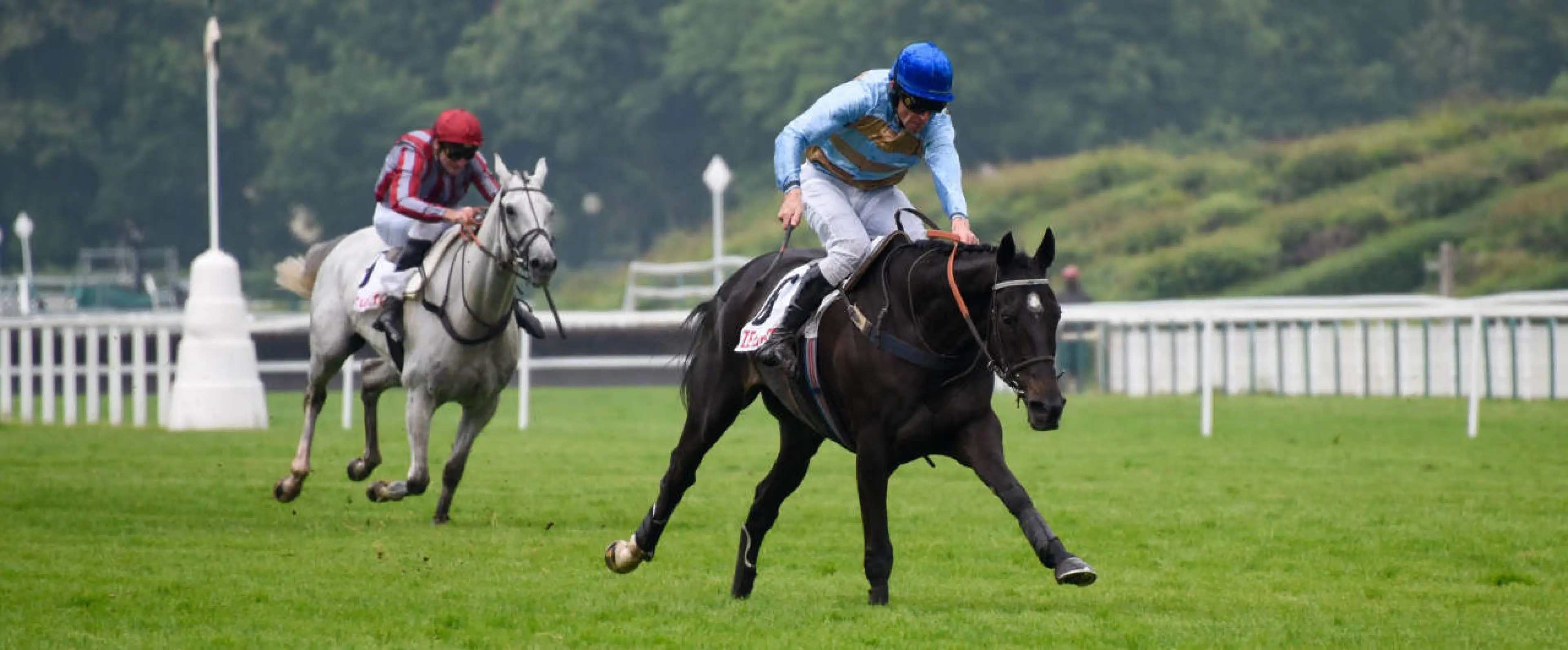 Carriacou Auteuil