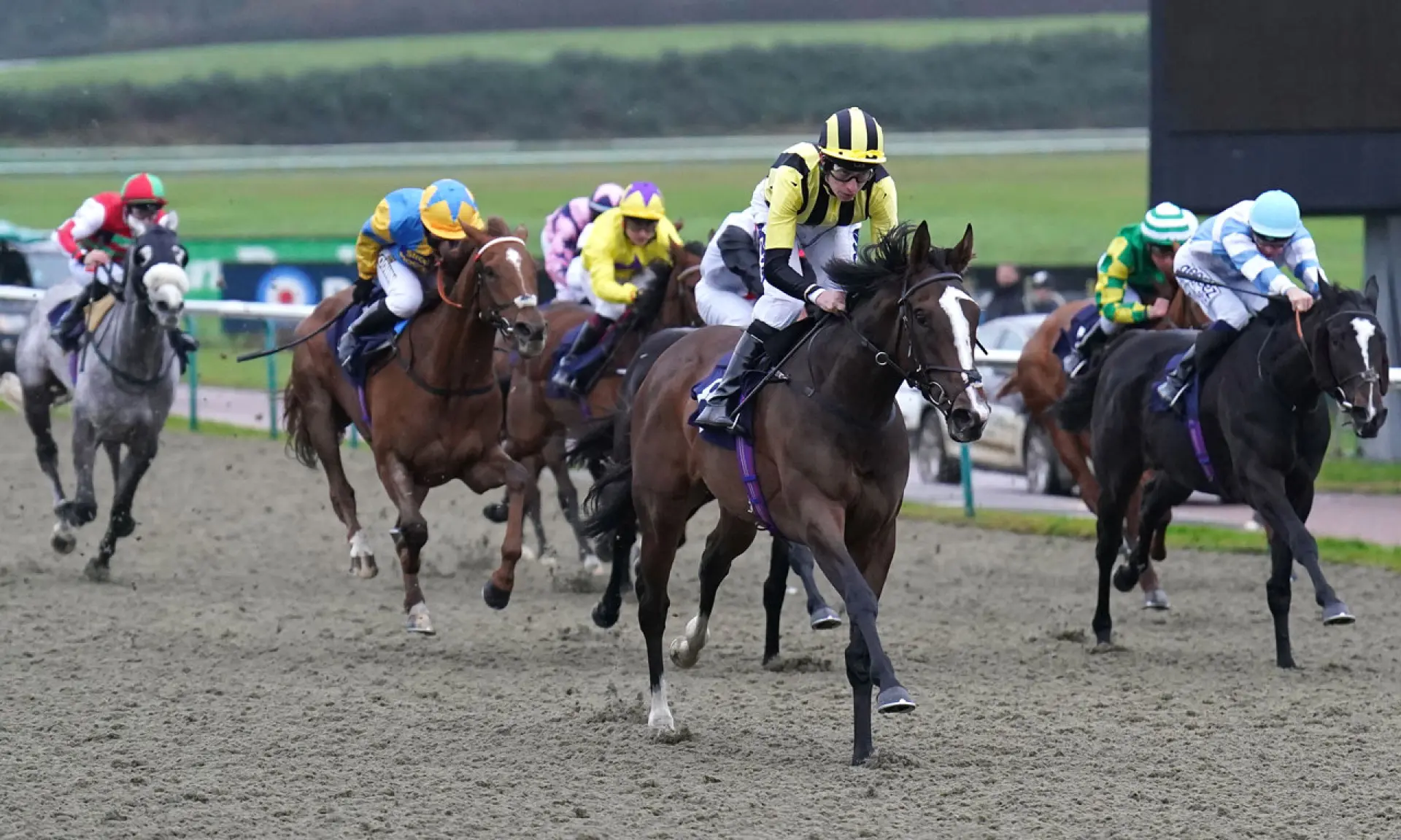 Al Agaila, Lingfield, Winter Oaks betting odds, horse racing