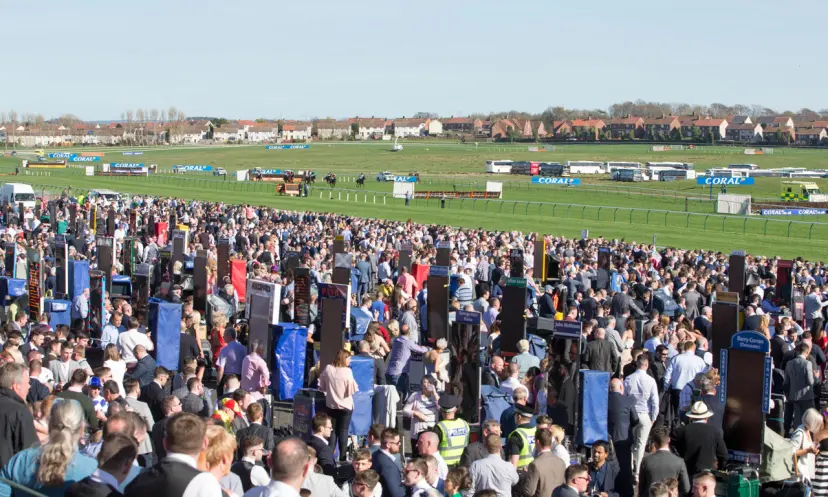 Ayr Gold Cup, horse racing