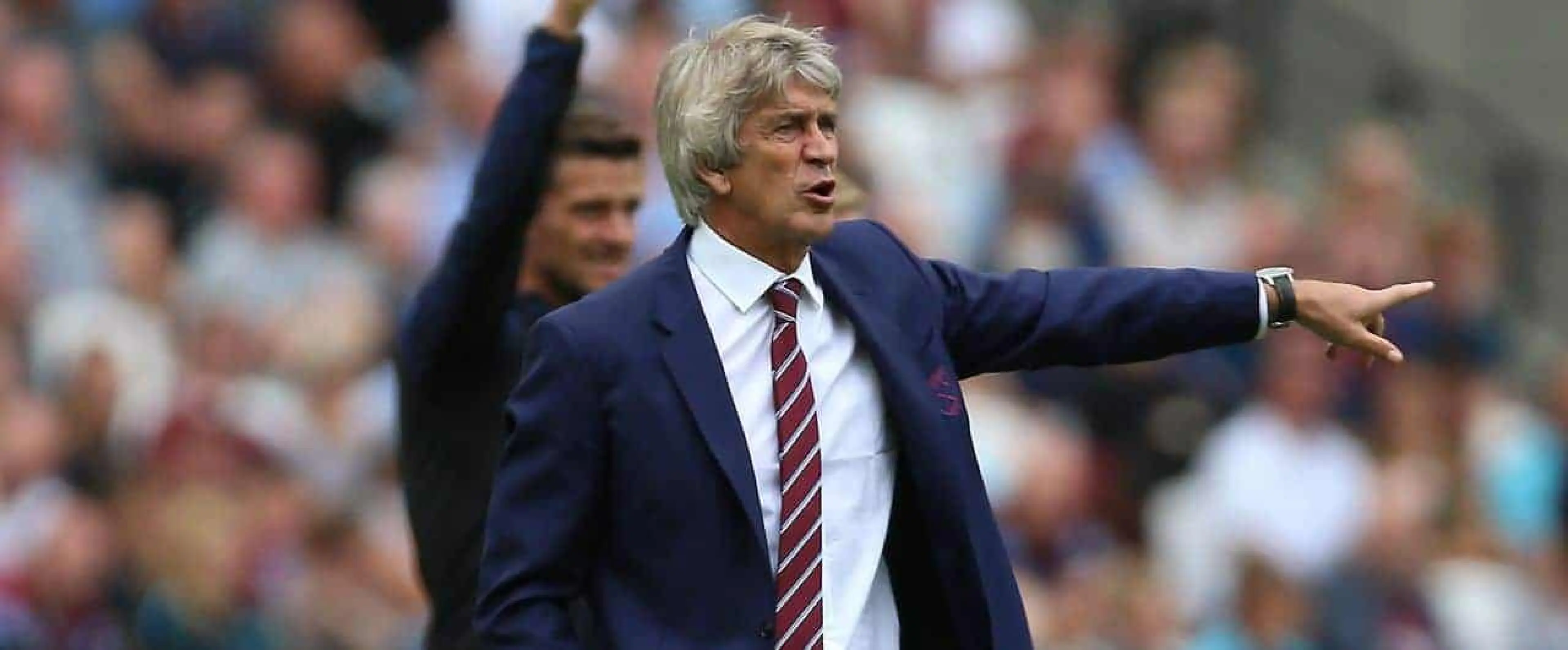 Manuel Pellegrini