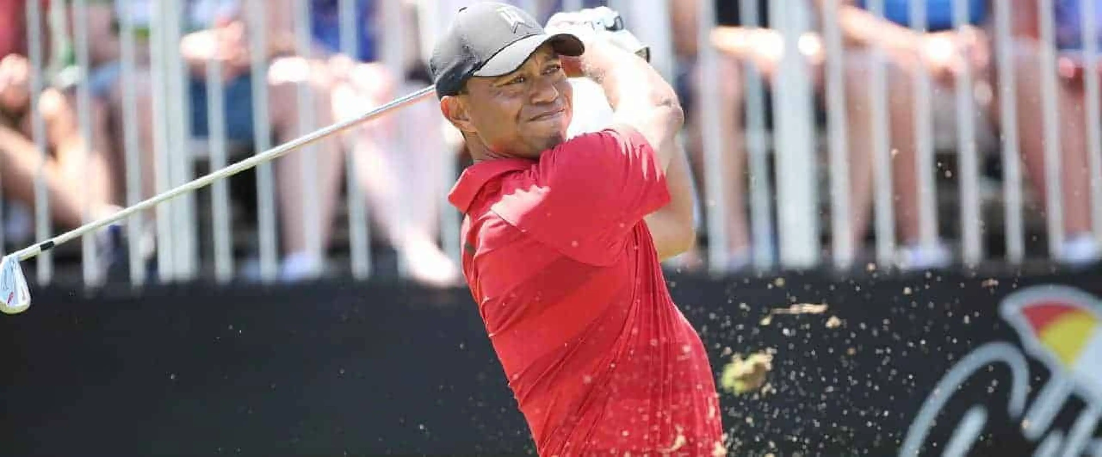 Tiger Woods Golf