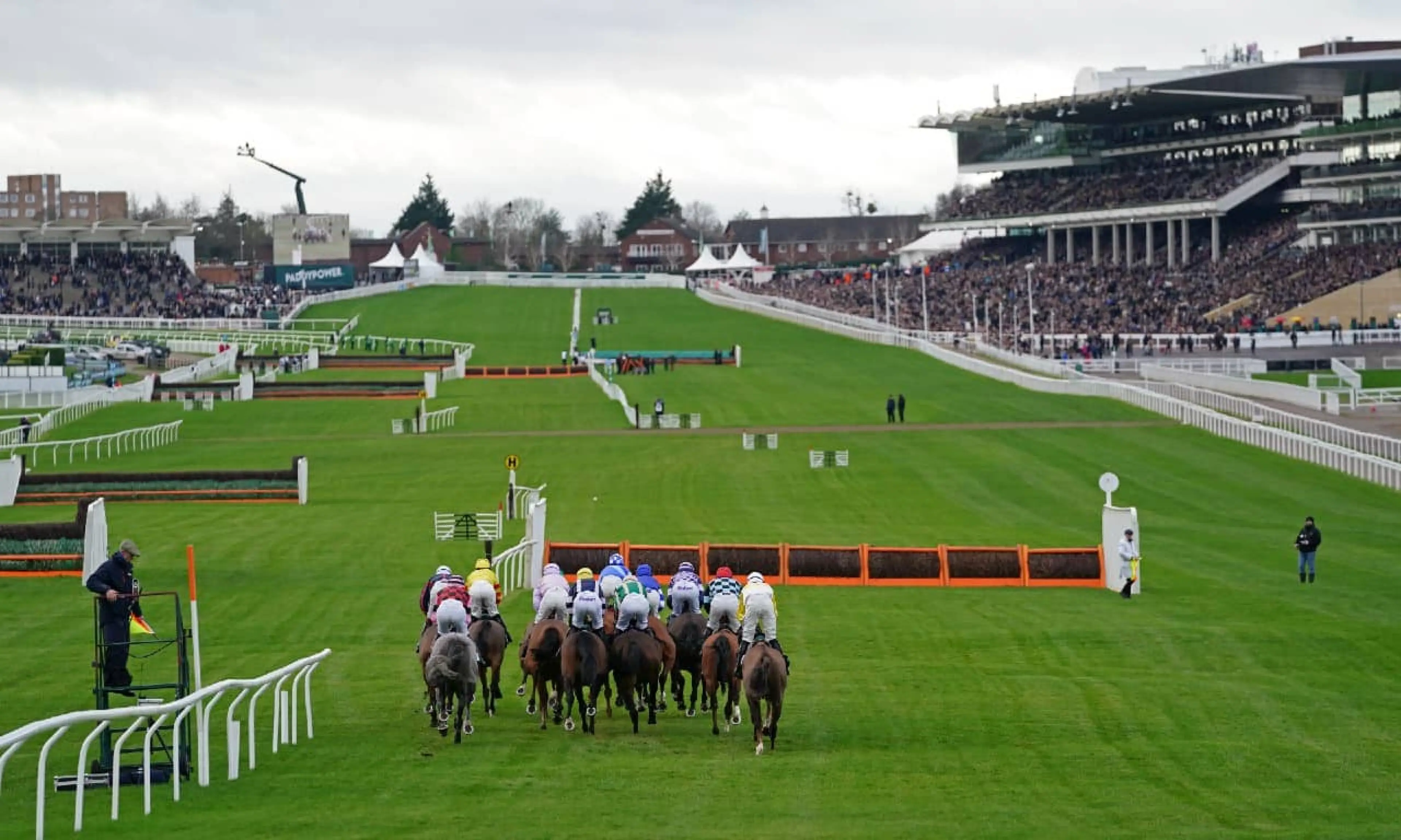 Cheltenham tips