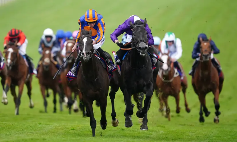 Irish Champion Stakes 2023, horse racing, Auguste Rodin