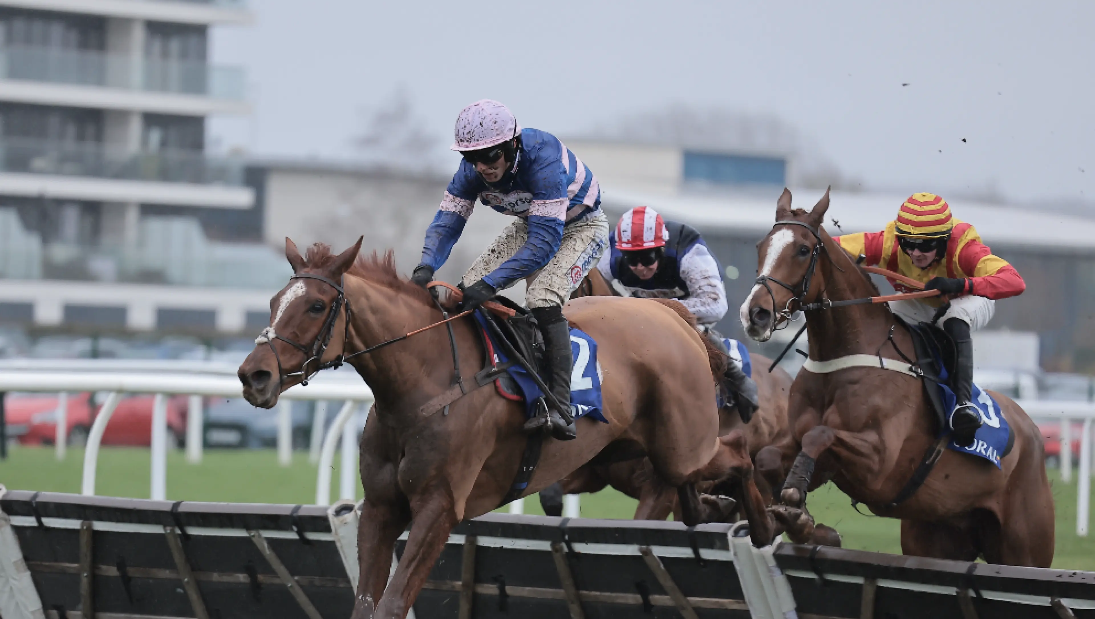 Cheltenham Festival