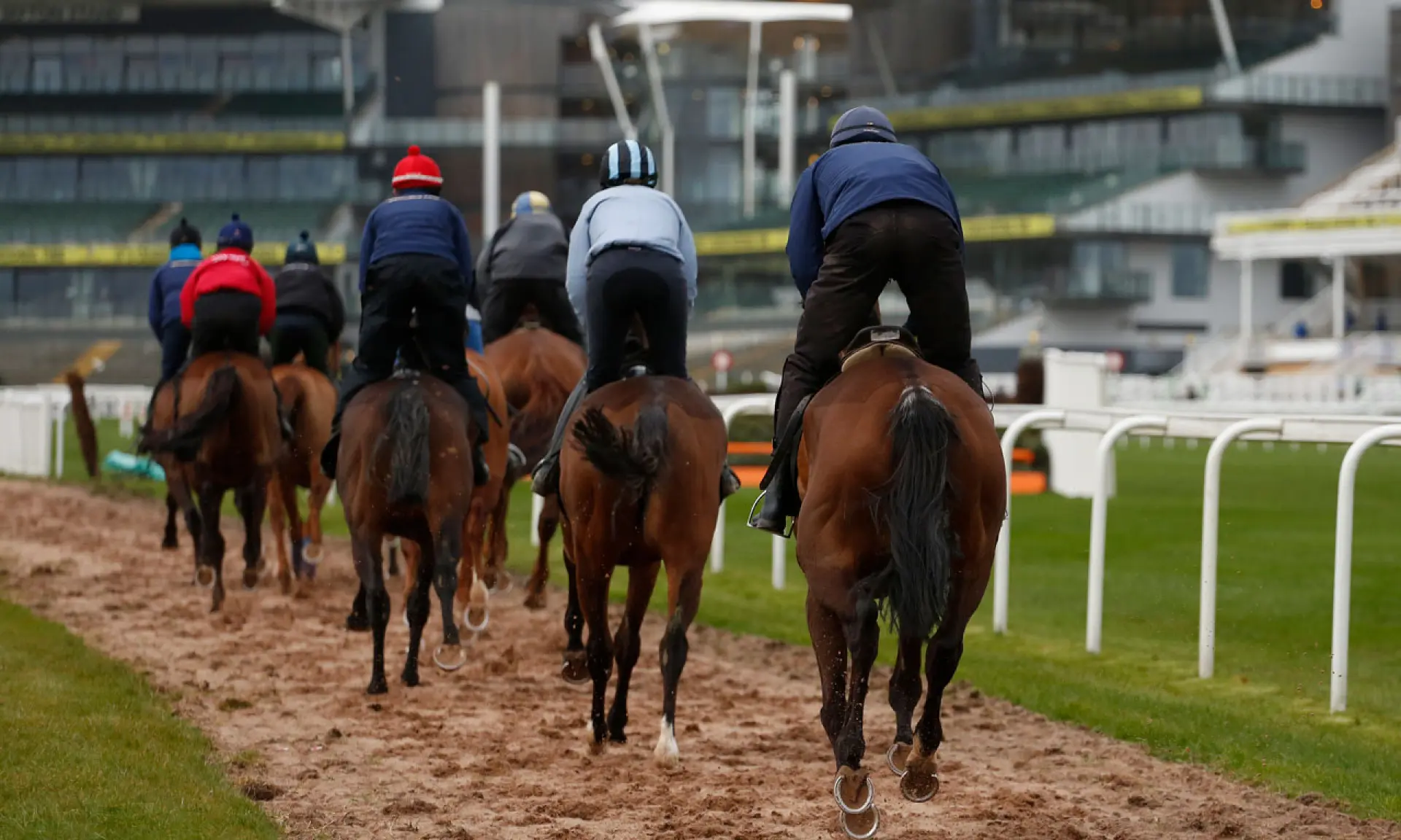 Willie Mullins Grand National runners, Aintree, horse racing