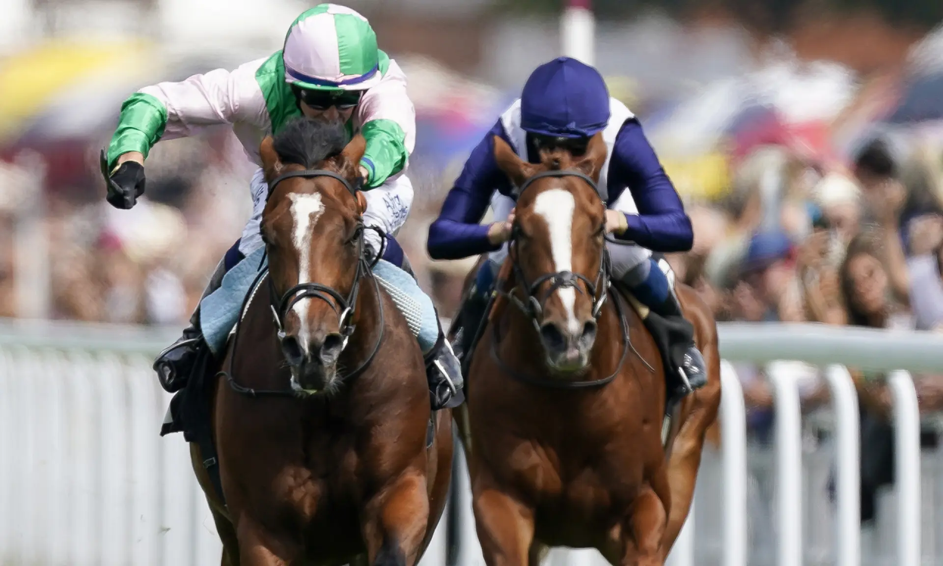 Irish 2000 Guineas, Royal Scotsman, horse racing