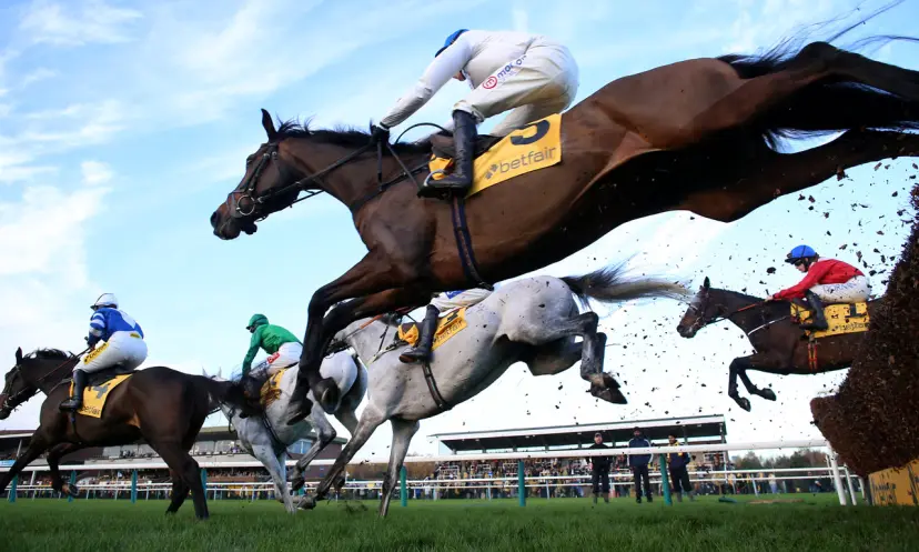 Protektorat, Betfair Chase betting odds, horse racing