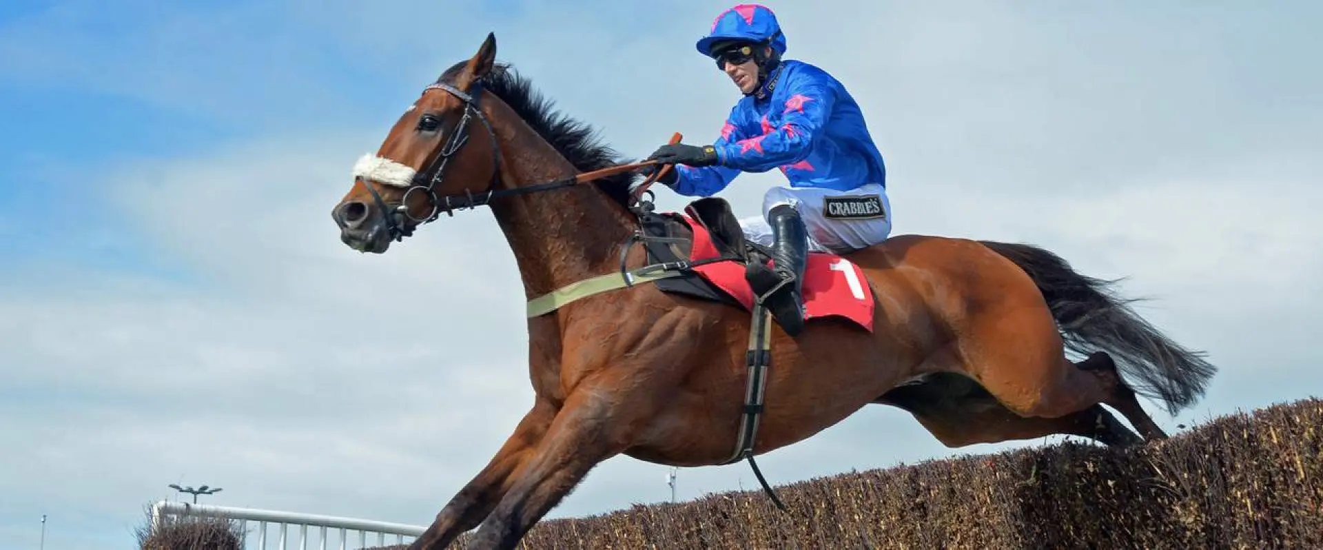 2016 King George VI Chase runner profiles