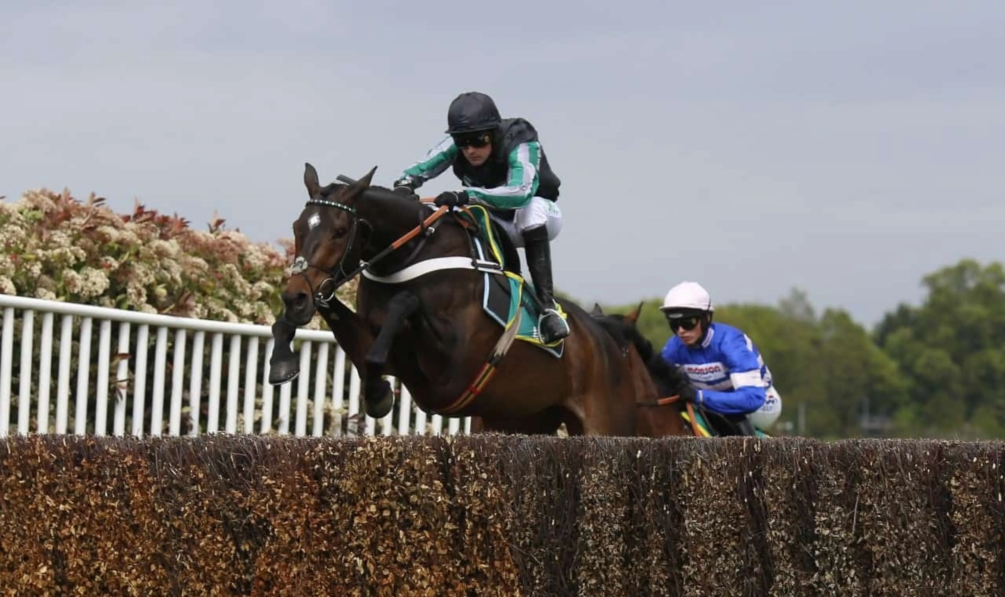 Altior odds ahead of Tingle creek