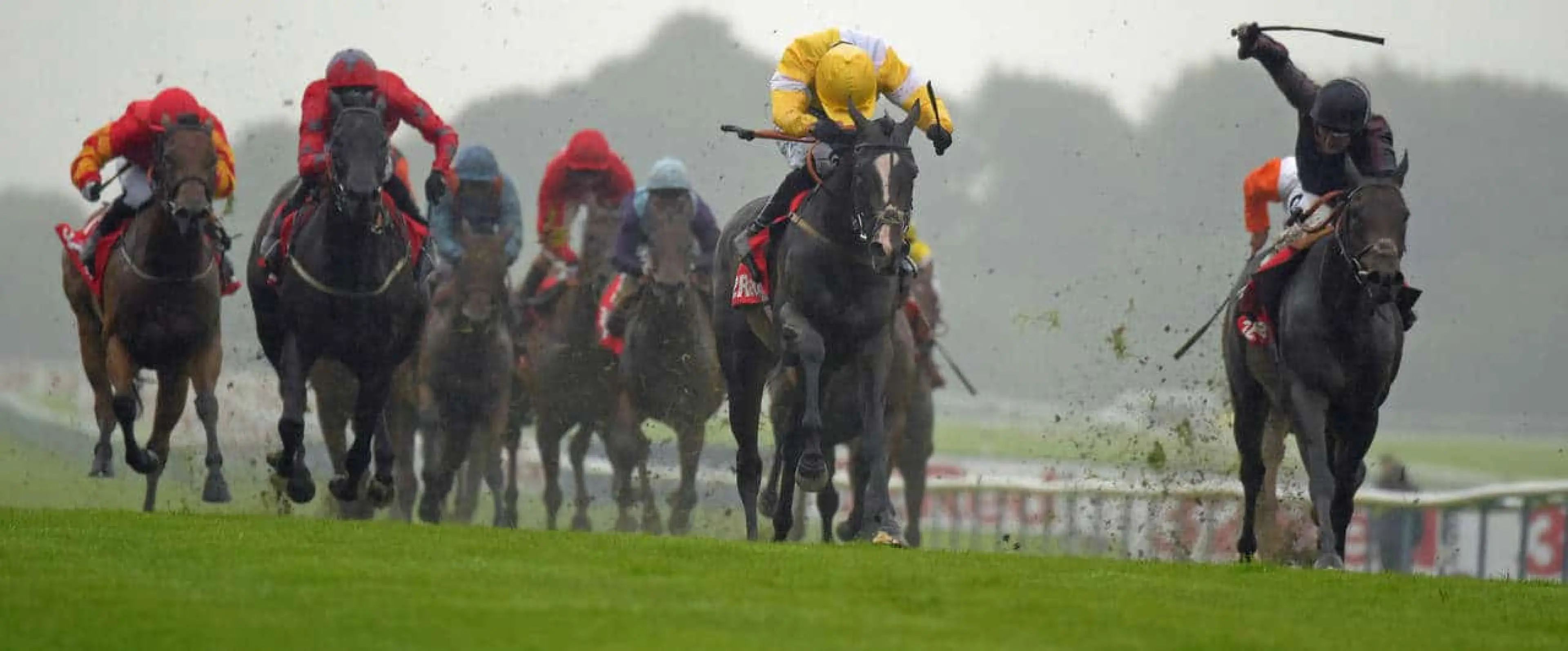 Quiet Reflection bets are among recommended British Champions Sprint Stakes tips from Ascot recommended by Coral horse racing experts.