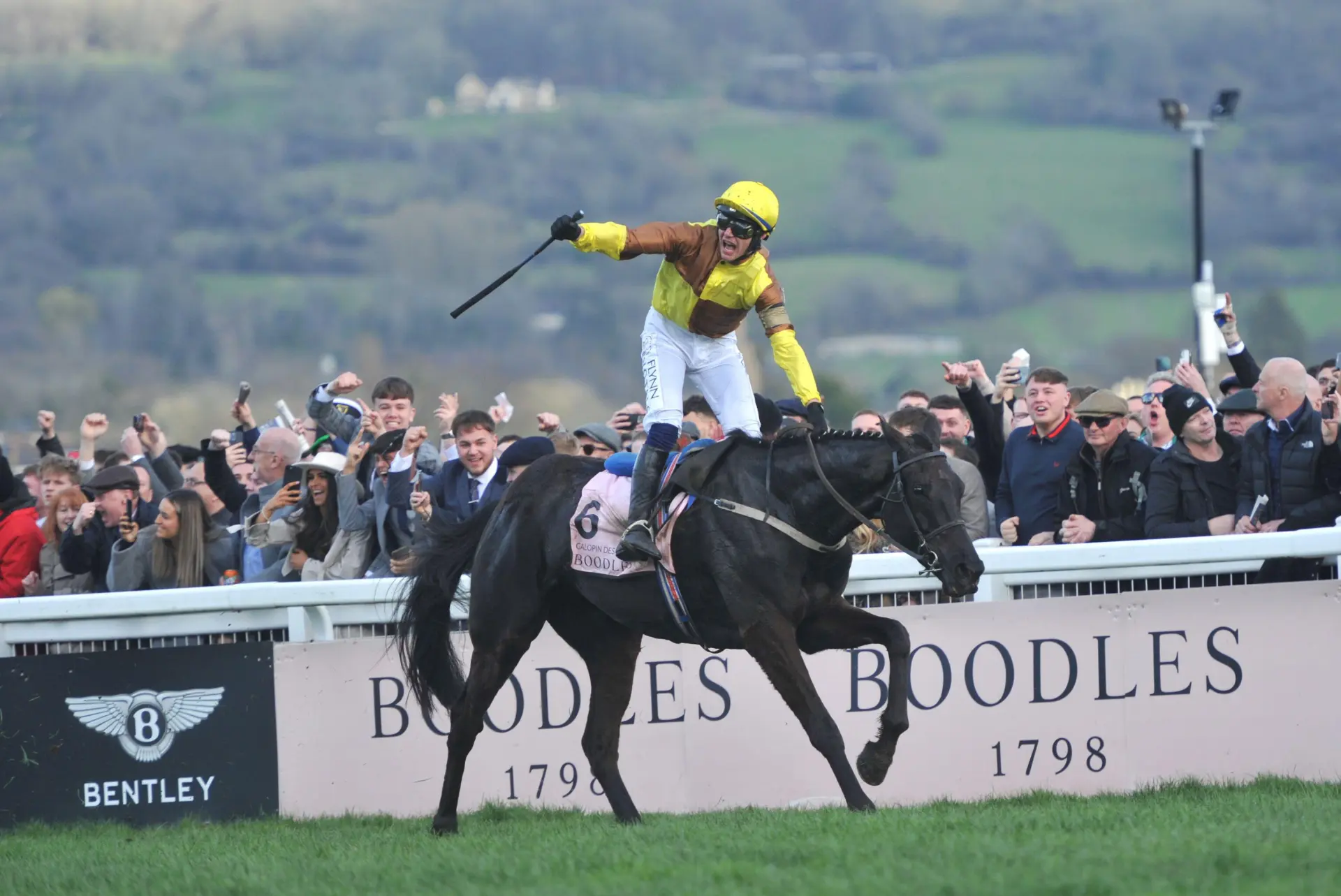 Boodles Cheltenham Gold Cup Race winner Galopin Des Champs ridden by Paul Townend crosses the finish line Horse racing at Cheltenham Racecourse