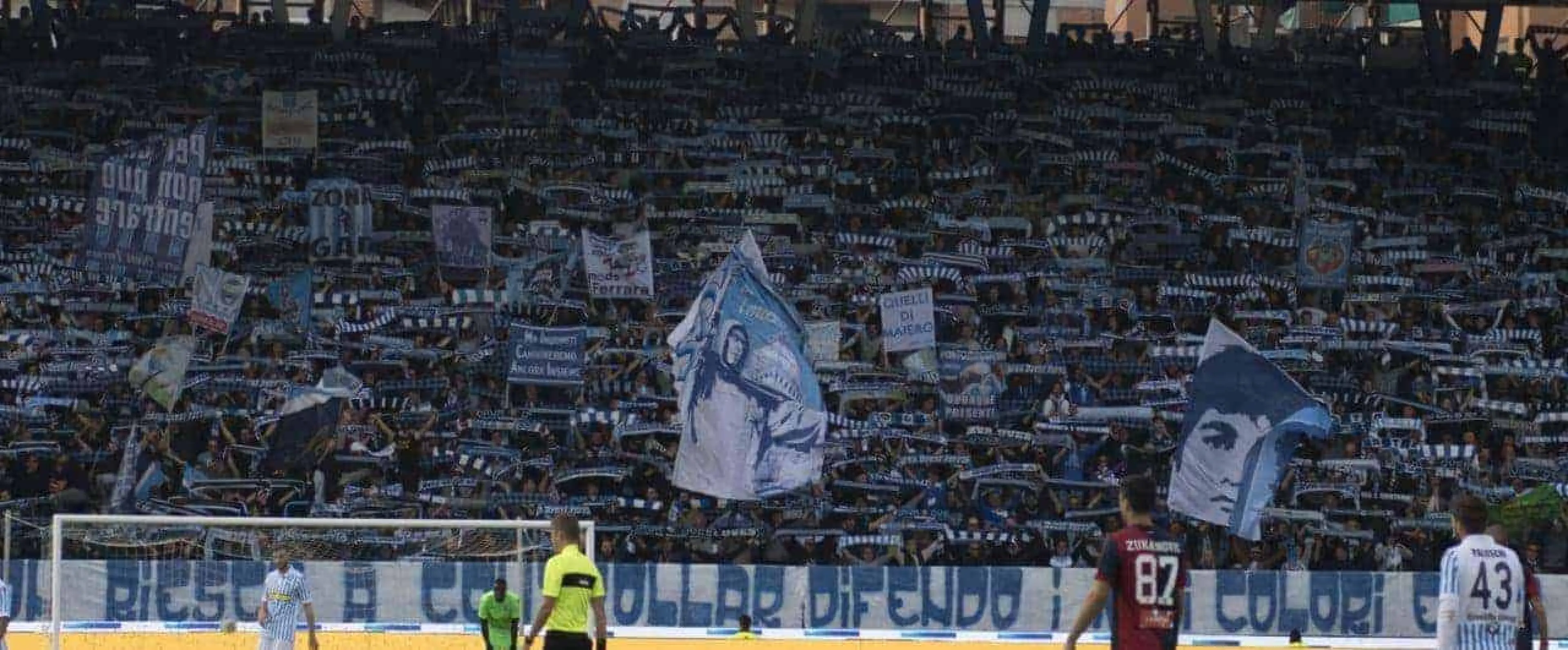 SPAL fans