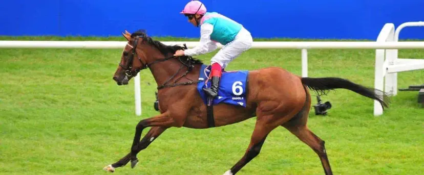 Enable