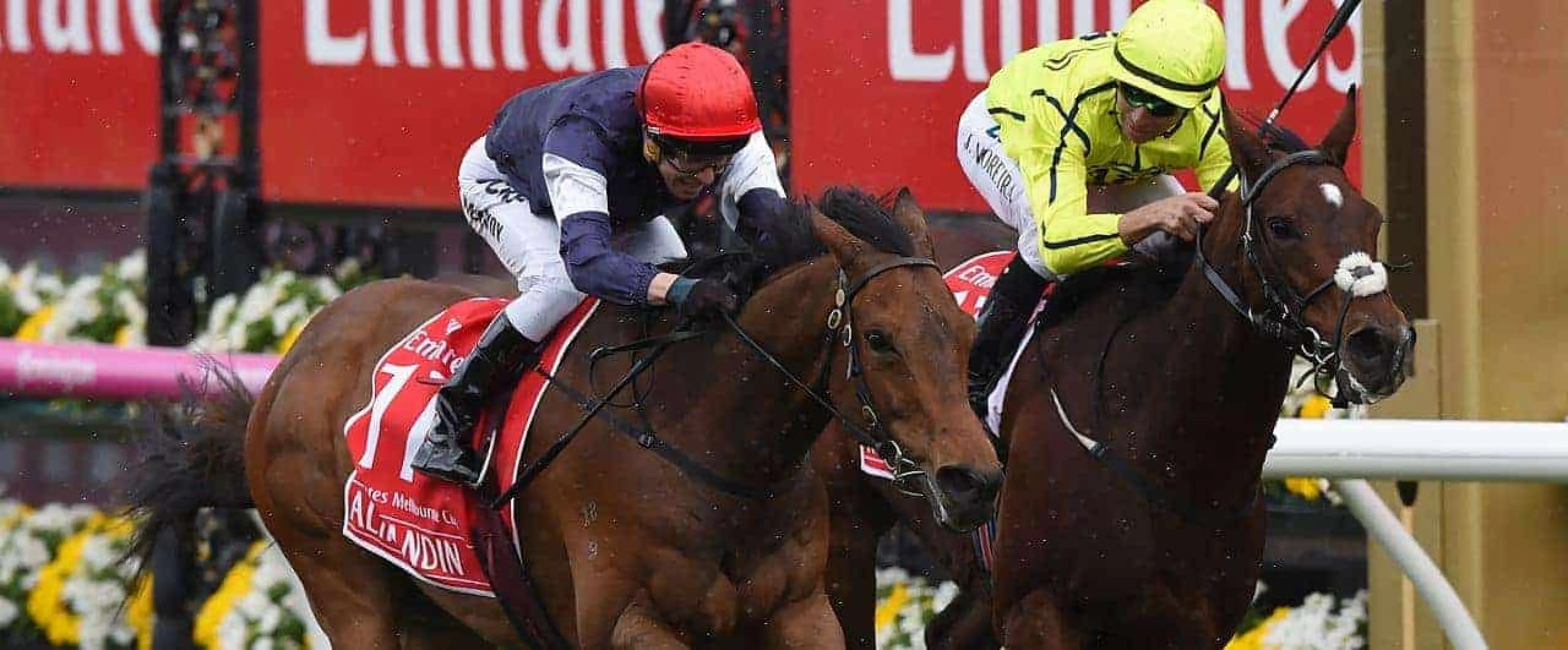 Horse Racing odds, Melbourne Cup odds, Flemington odds