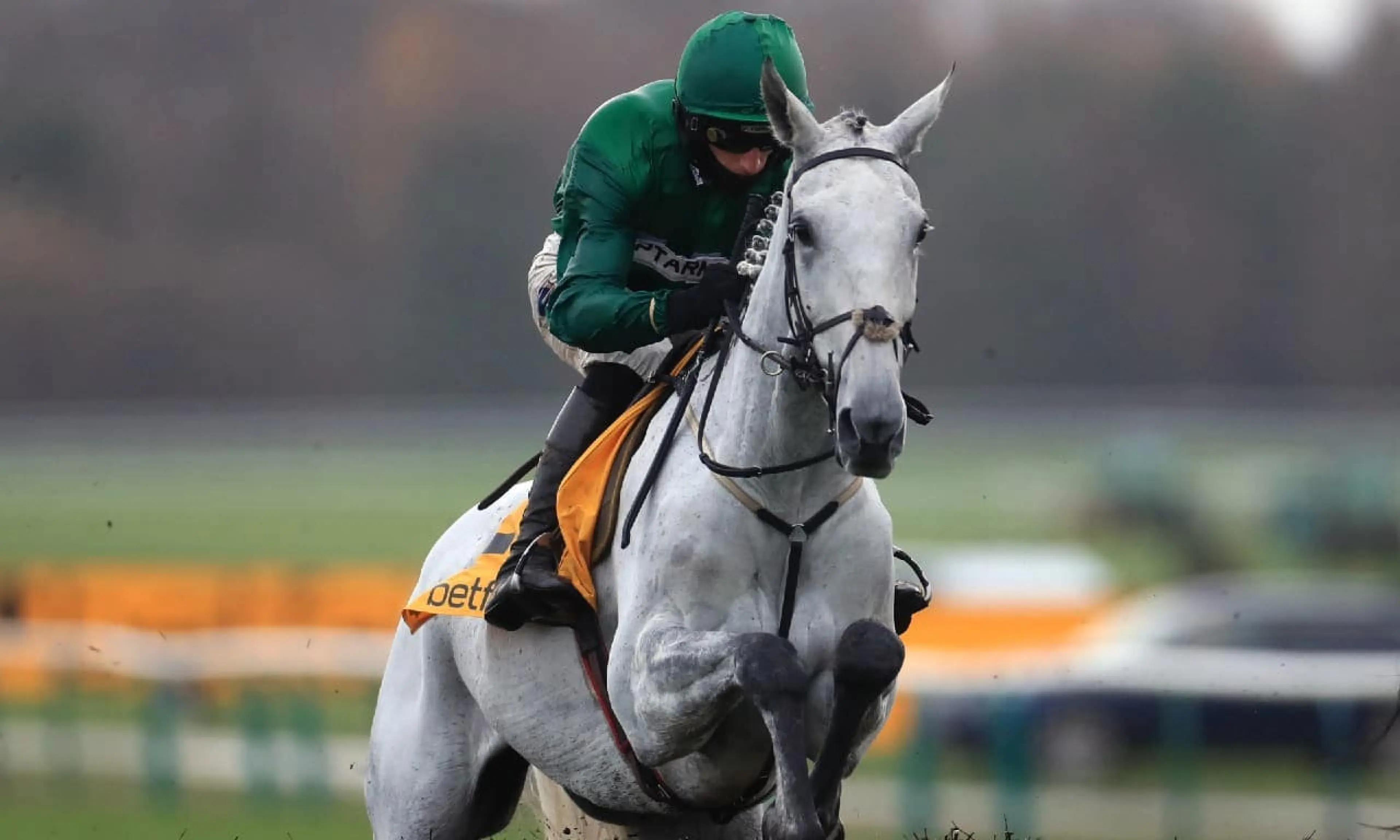 ristol De Mai, Winter Million, horse racing