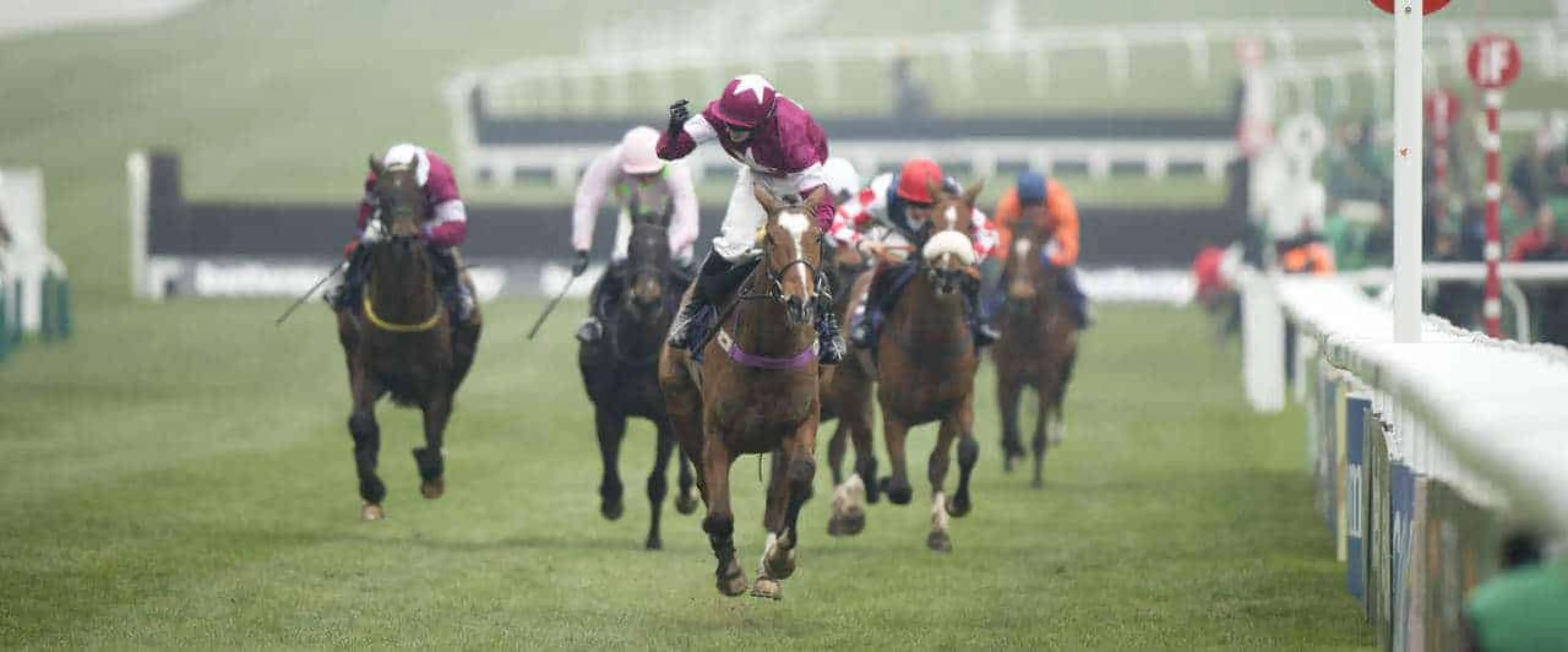 Don Poli odds in Coral's JnWine.com Champion Chase tips