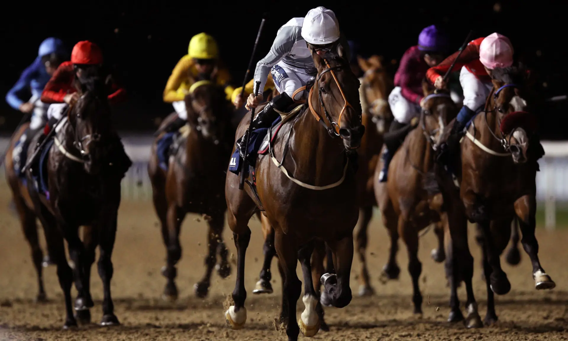 Racing League tips, horse racing