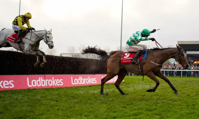 King George VI Chase, Tornado Flyer, Kempton, horse racing