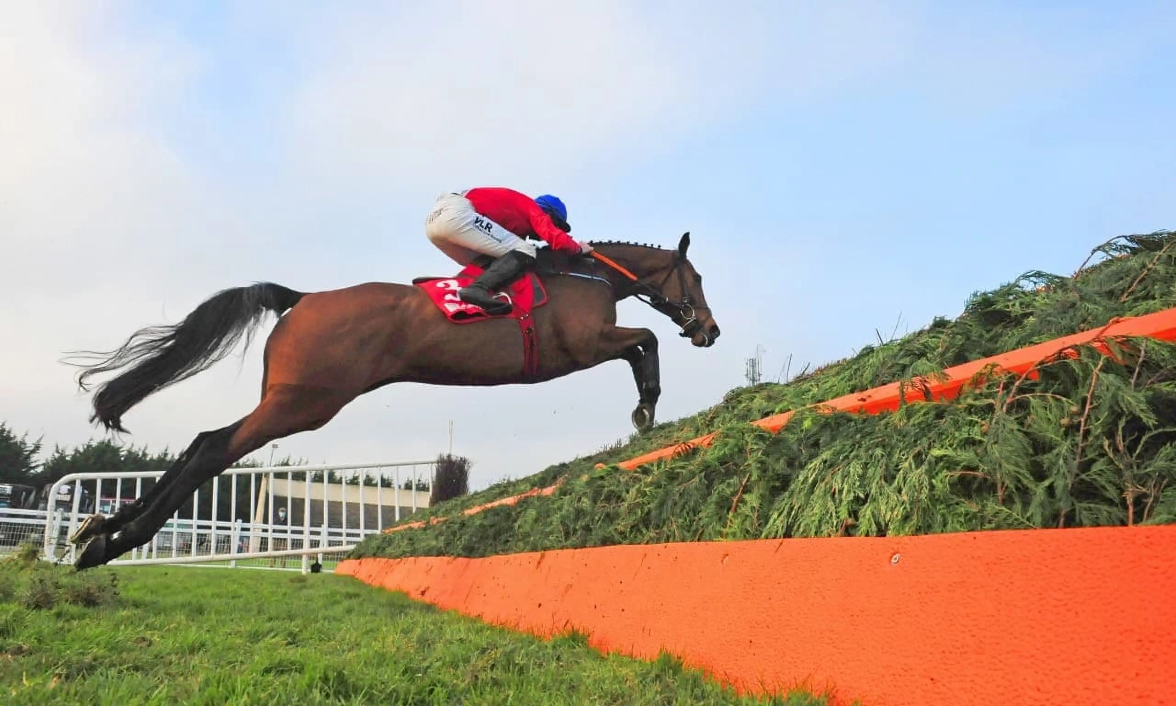 Envoi Allen, Cheltenham tips