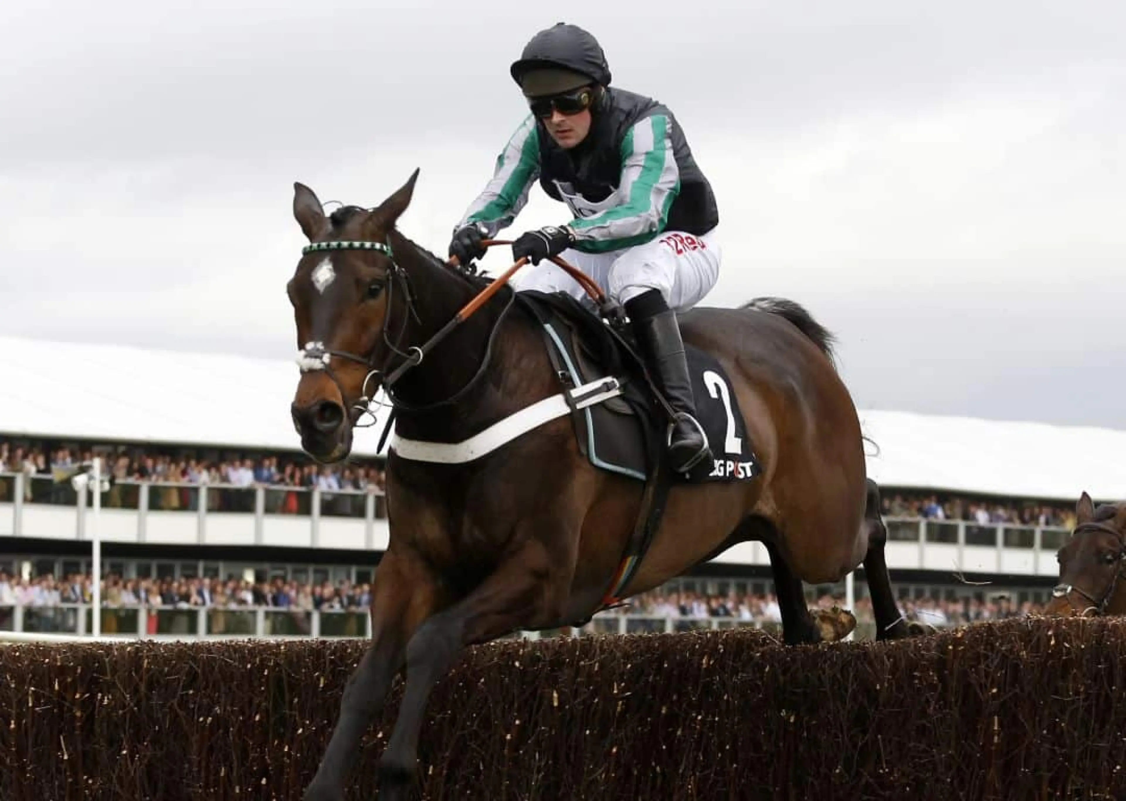Altior