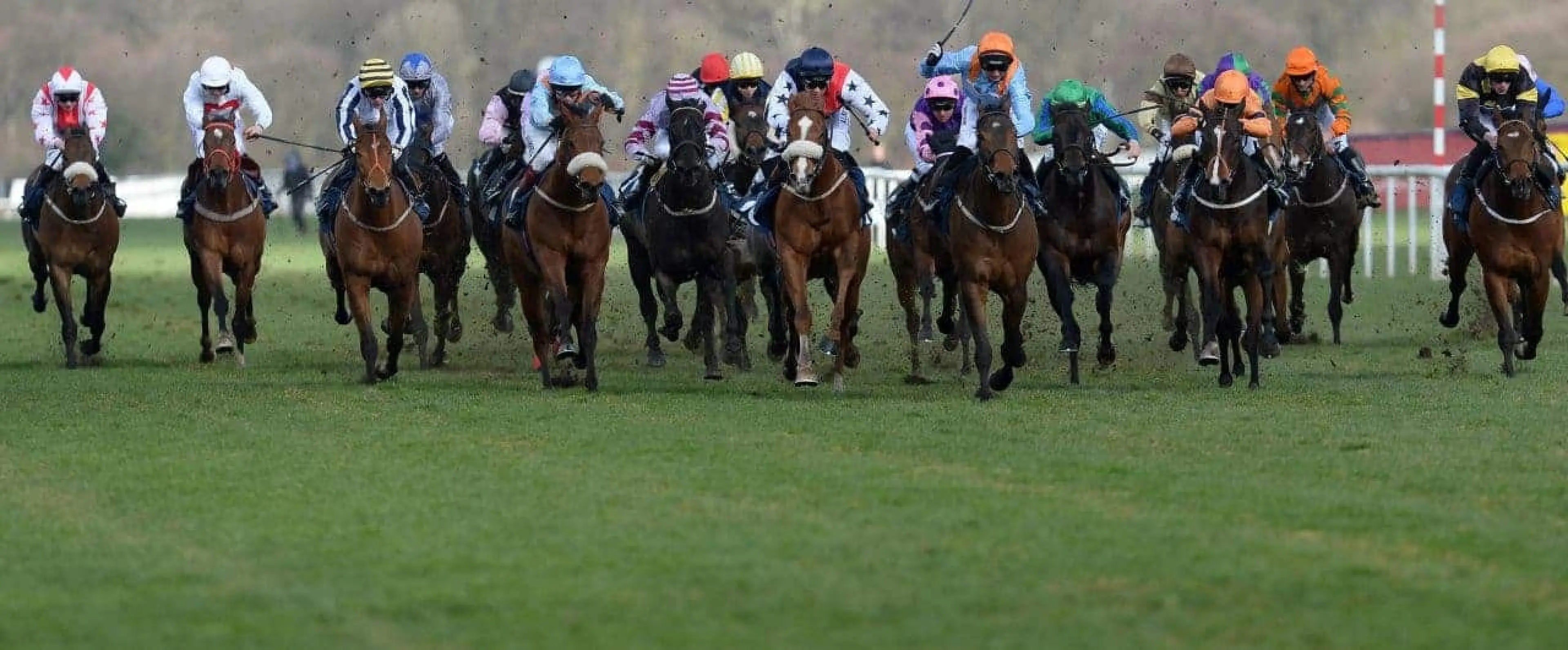 Lincoln Handicap