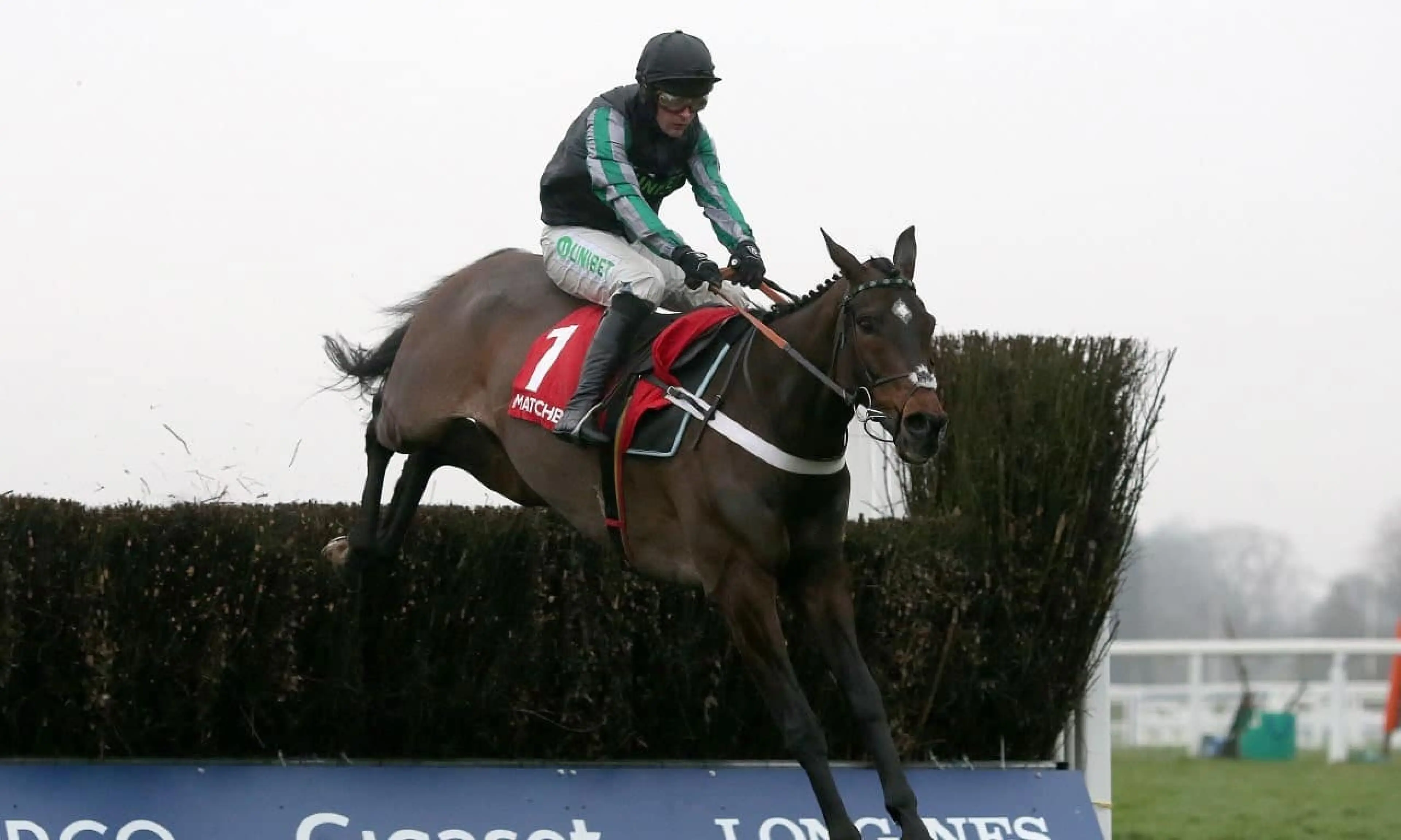Altior Desert Orchid Chase