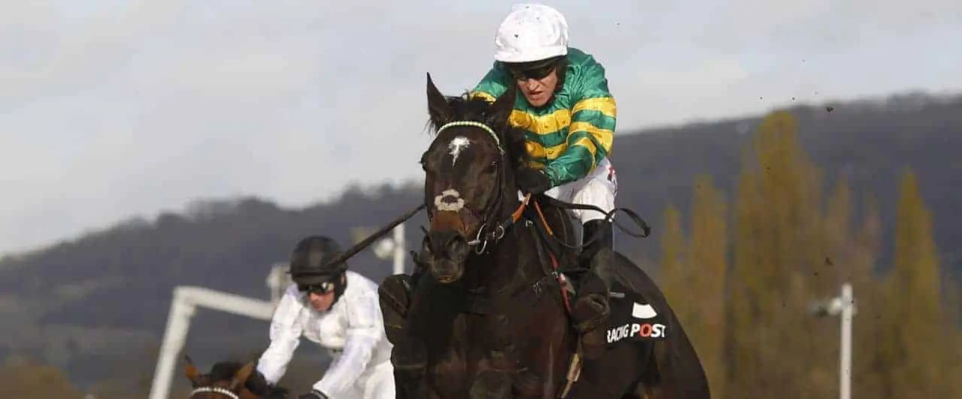 Le Prezien odds, Gold CUp Cheltenham odds, Lingfield odds, all weather championships odds
